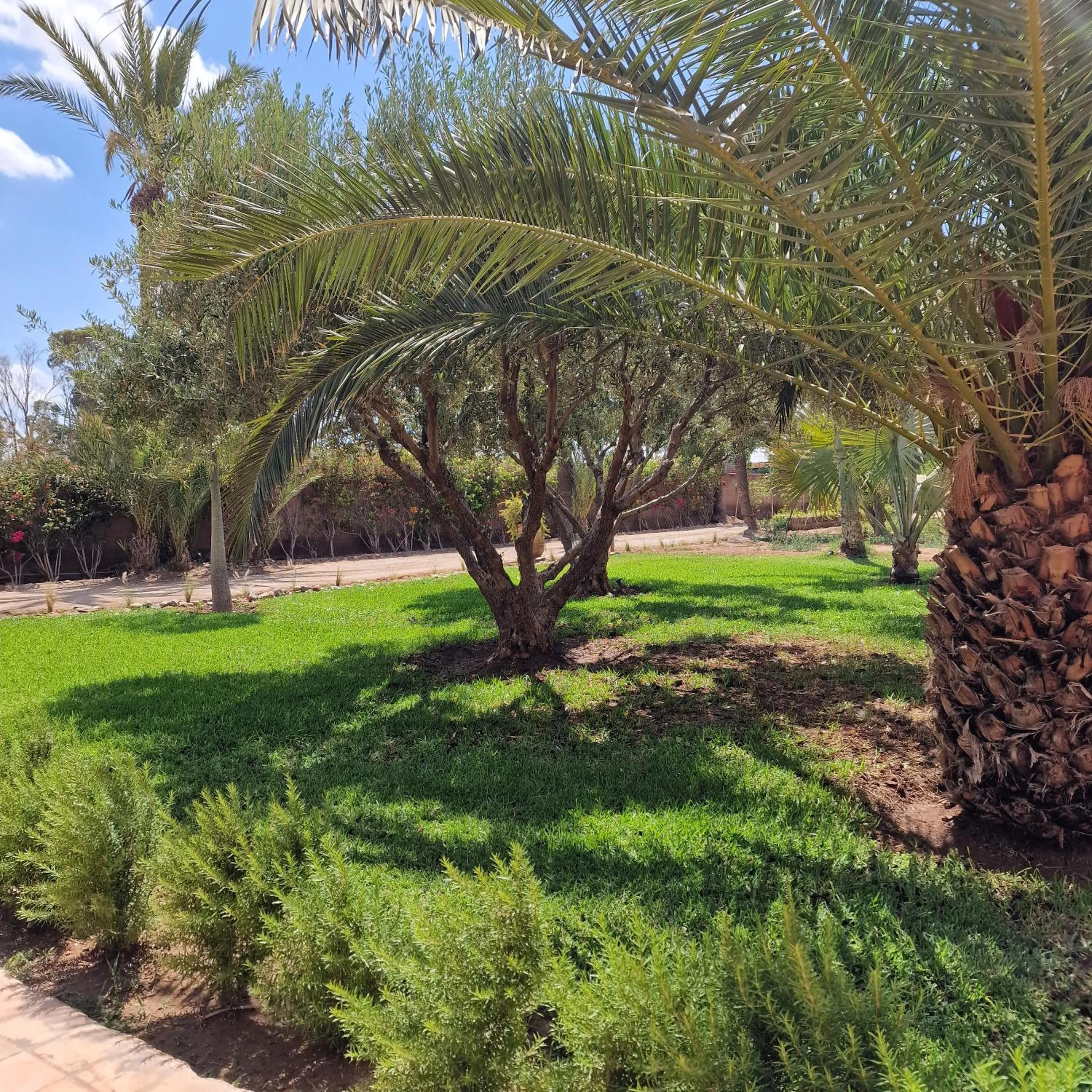 Garden view in Dar 55 - Berber House