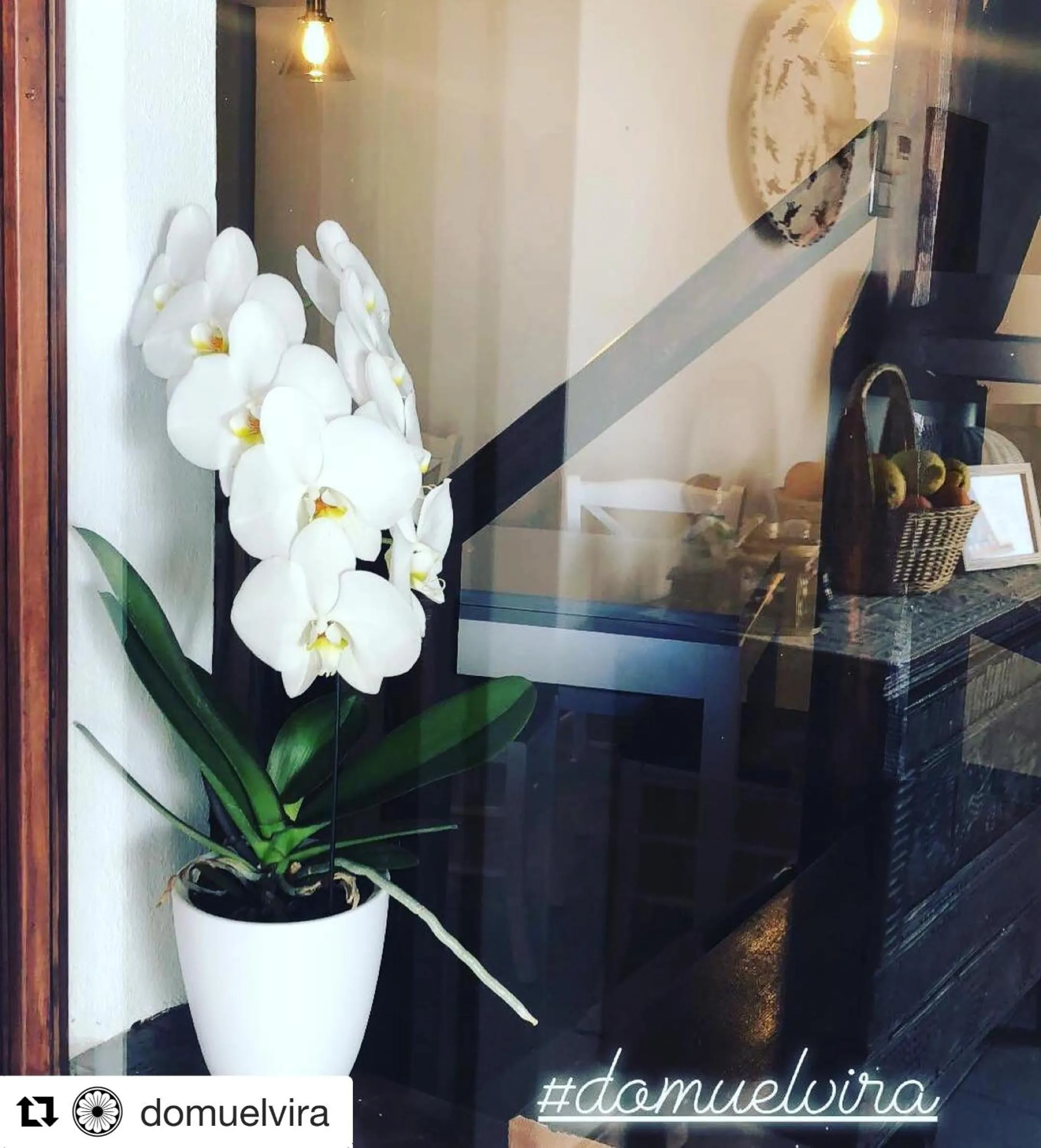 Decorative detail in Domu Elvira