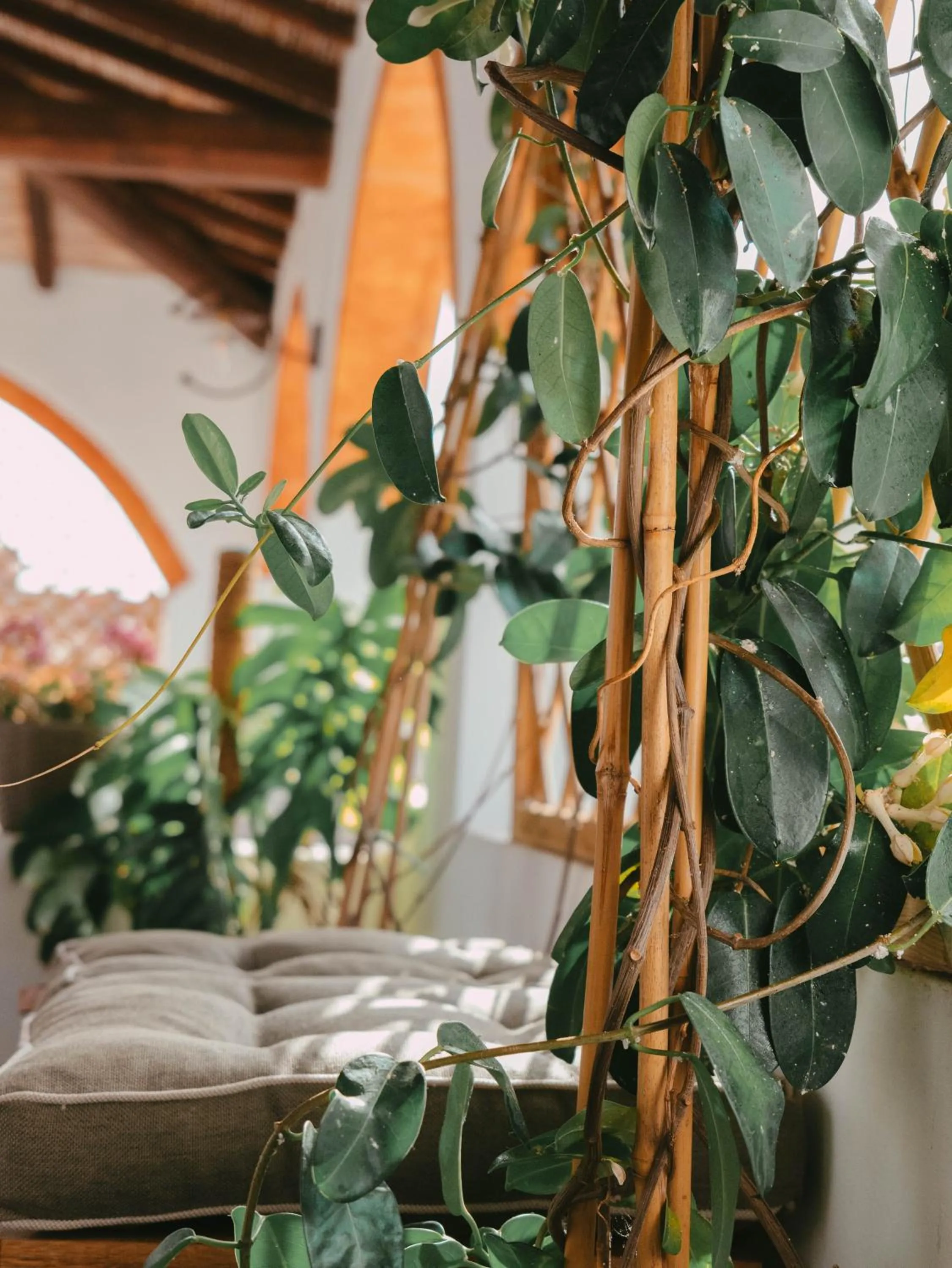 Garden in Domu Elvira