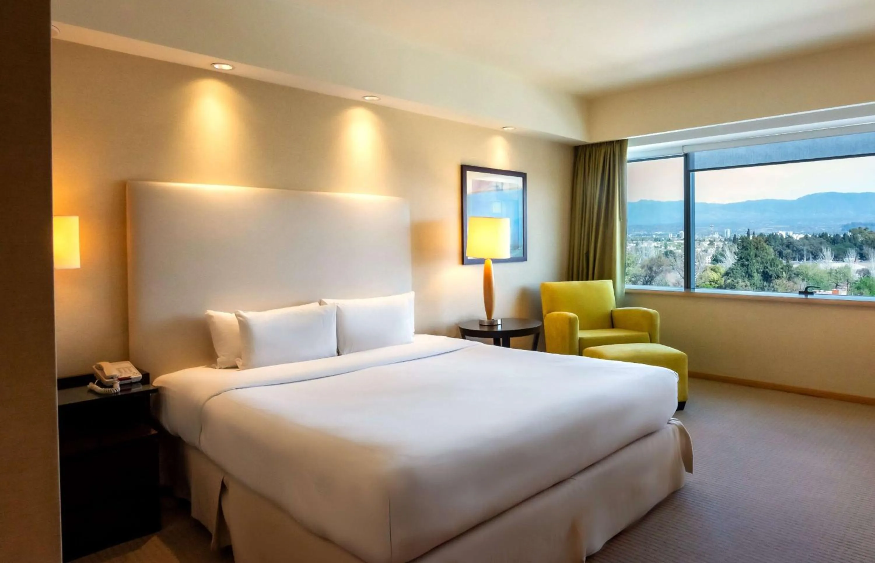 Bed in Hilton Mendoza