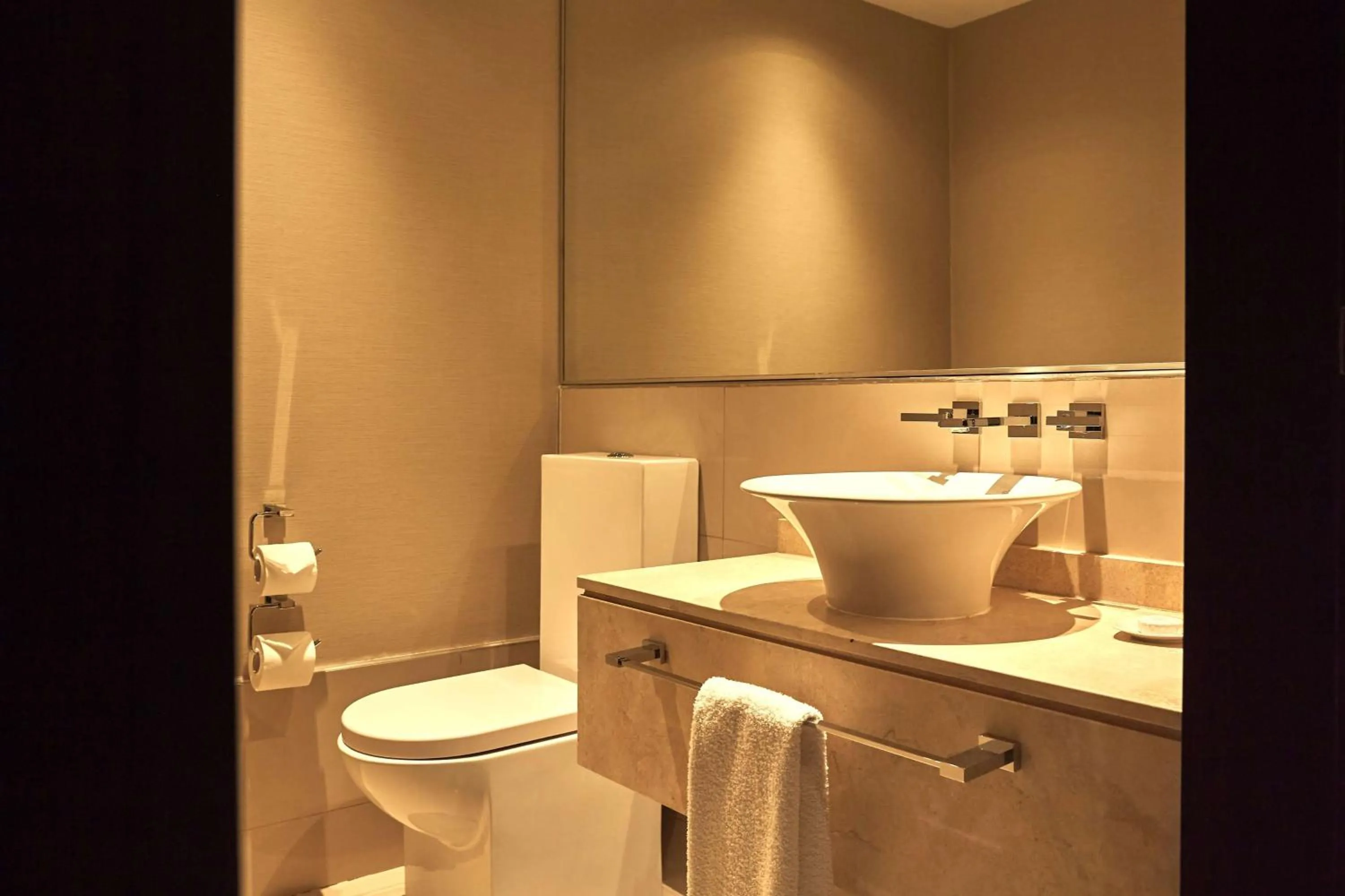 Bathroom in Hilton Mendoza