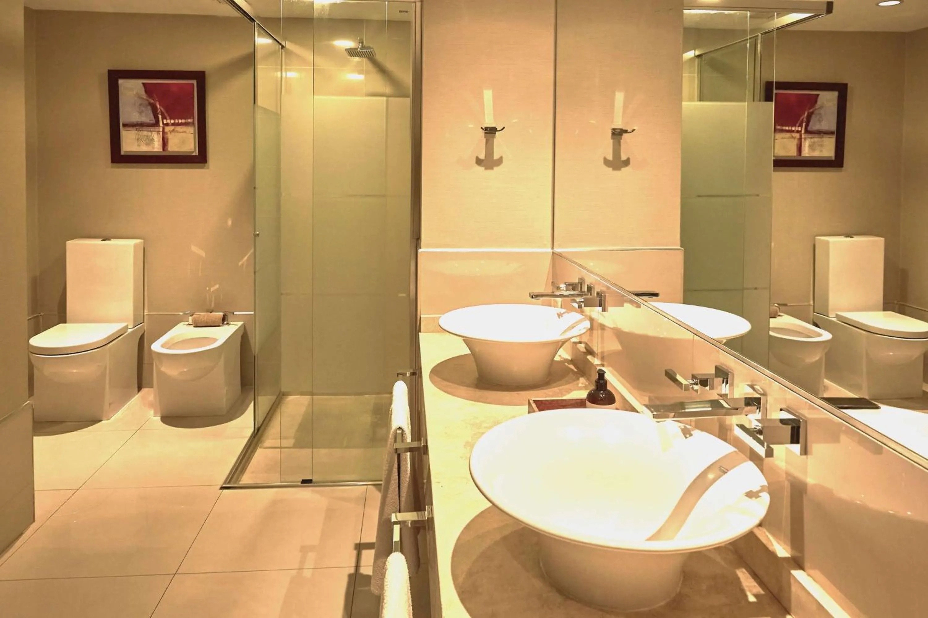 Bathroom in Hilton Mendoza