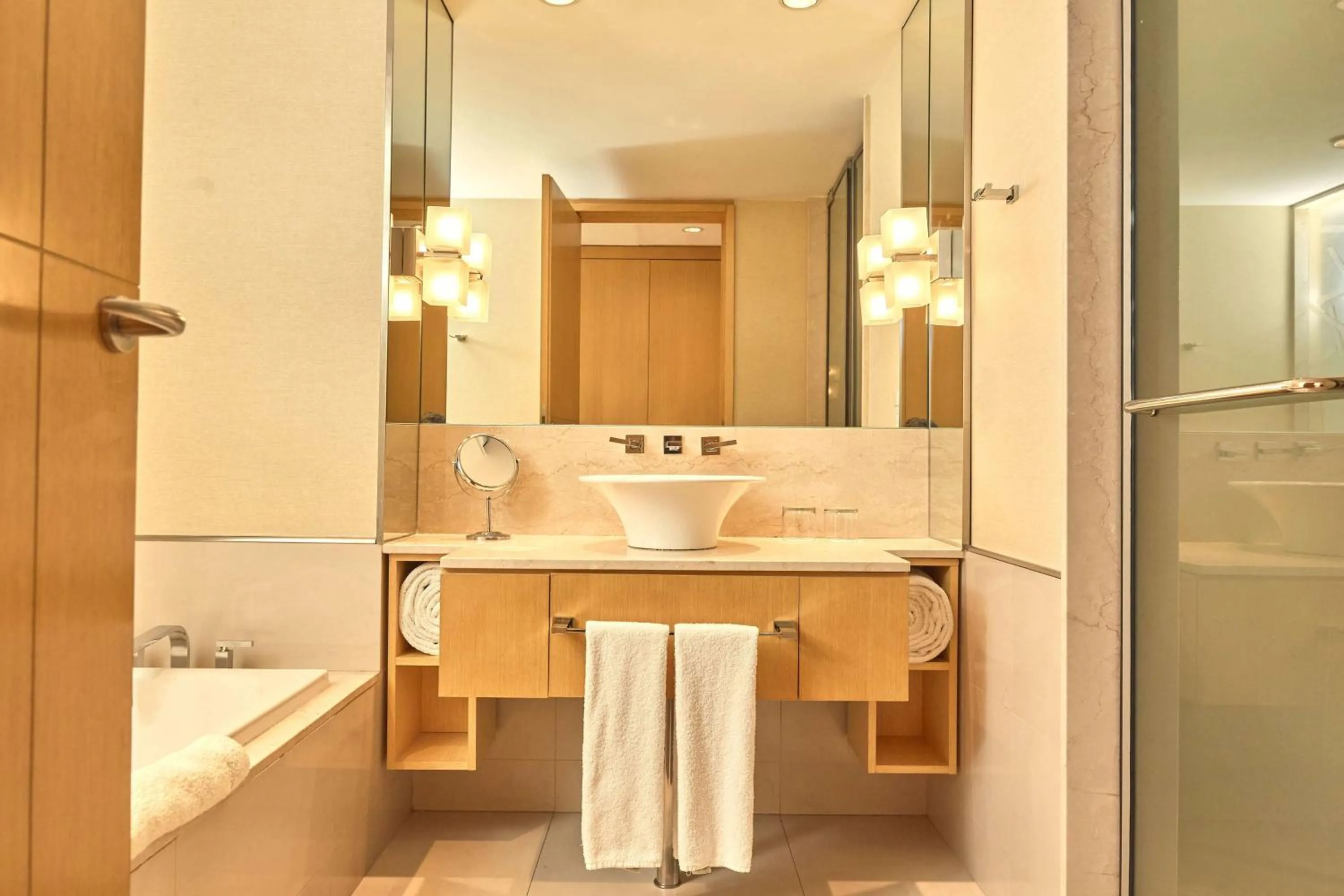 Bathroom in Hilton Mendoza