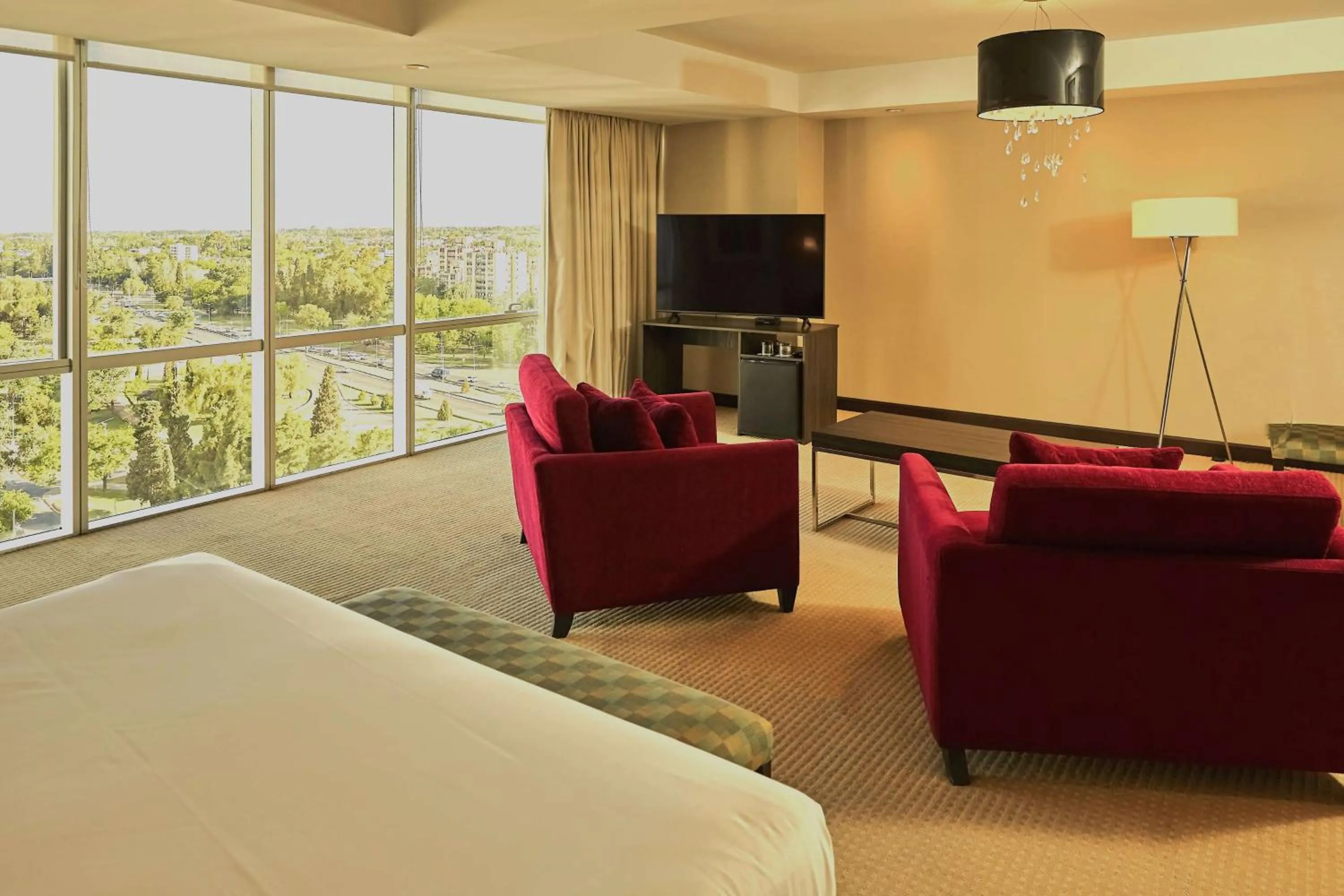 Living room, Bed in Hilton Mendoza
