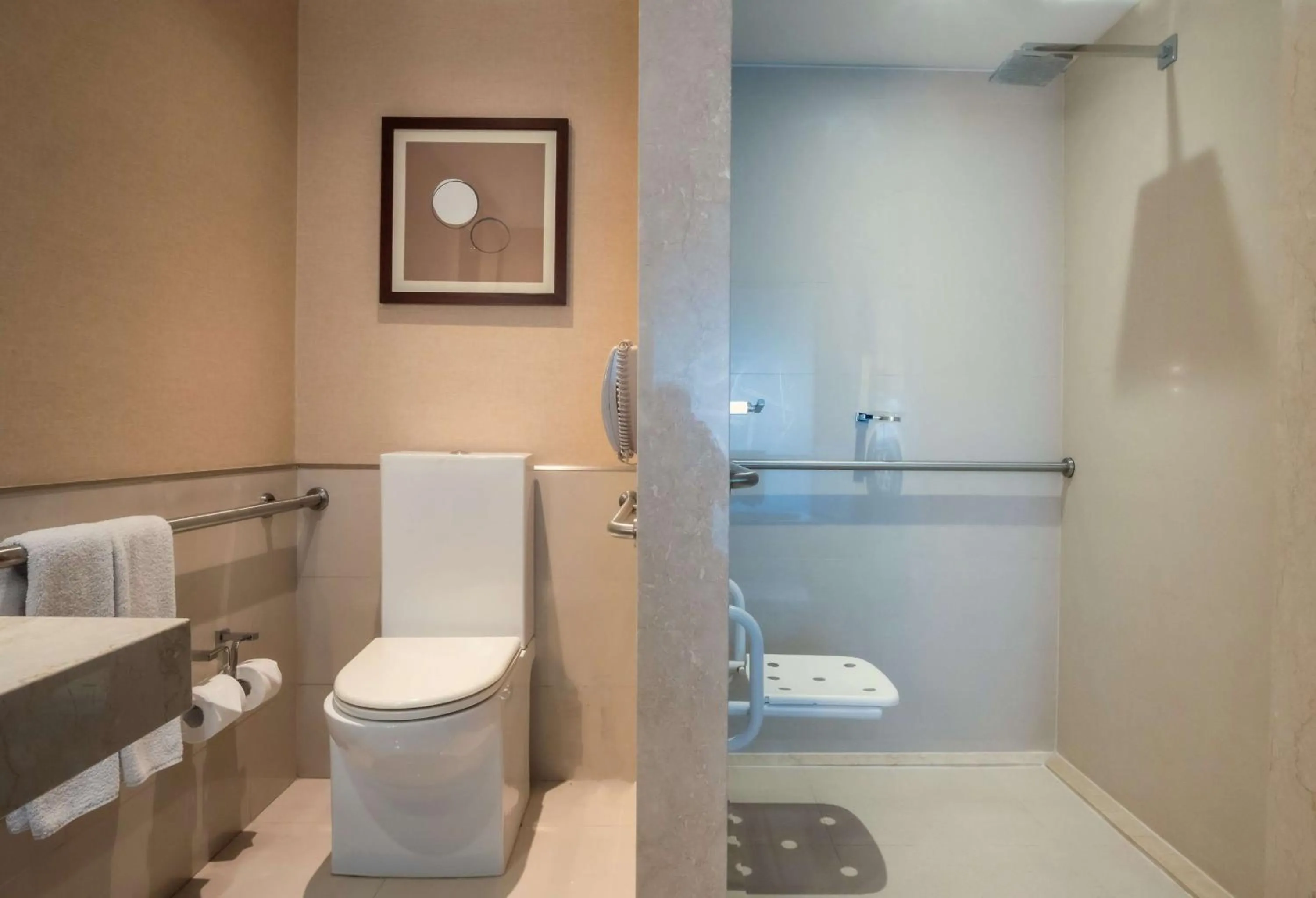 Bathroom in Hilton Mendoza