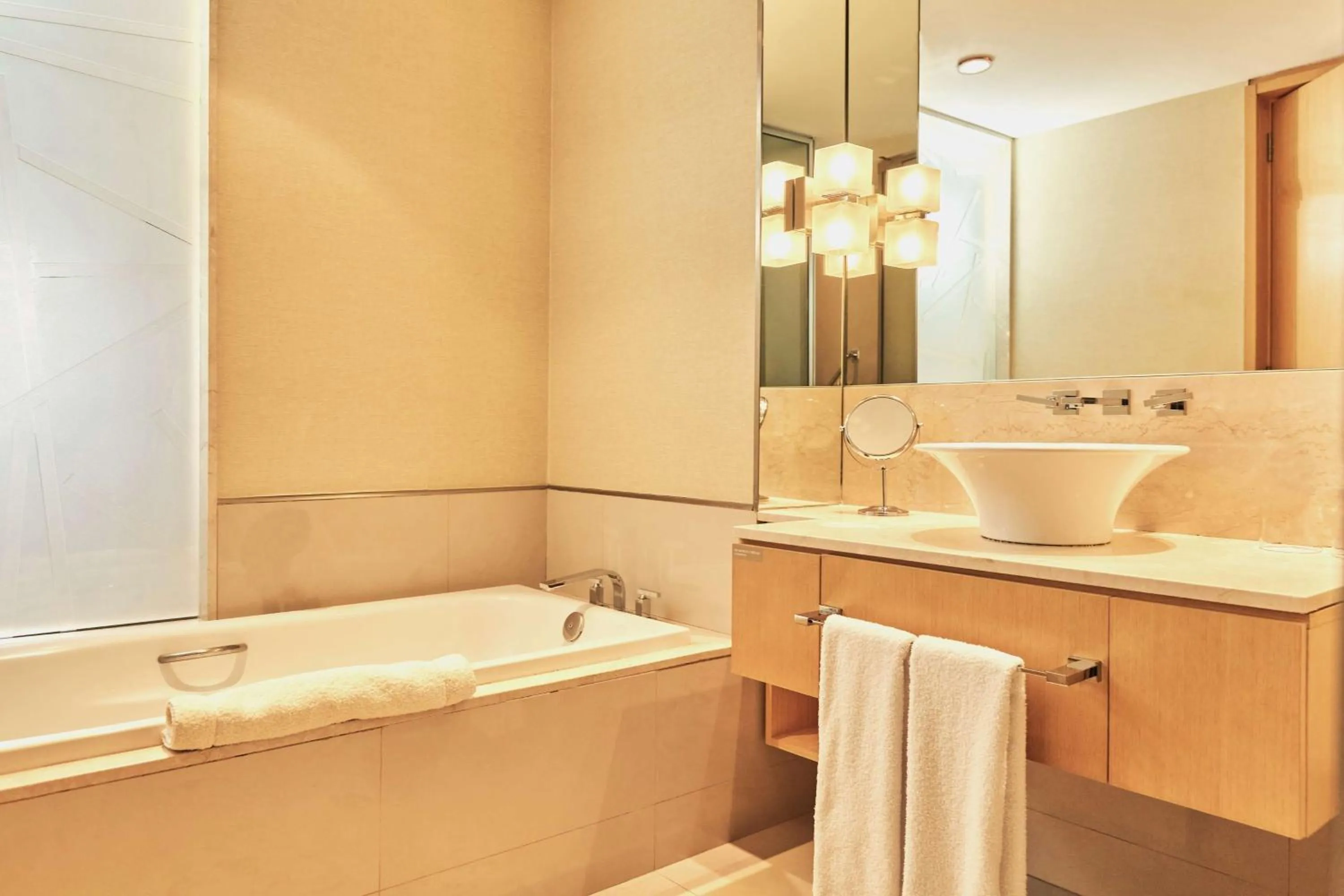 Bathroom in Hilton Mendoza