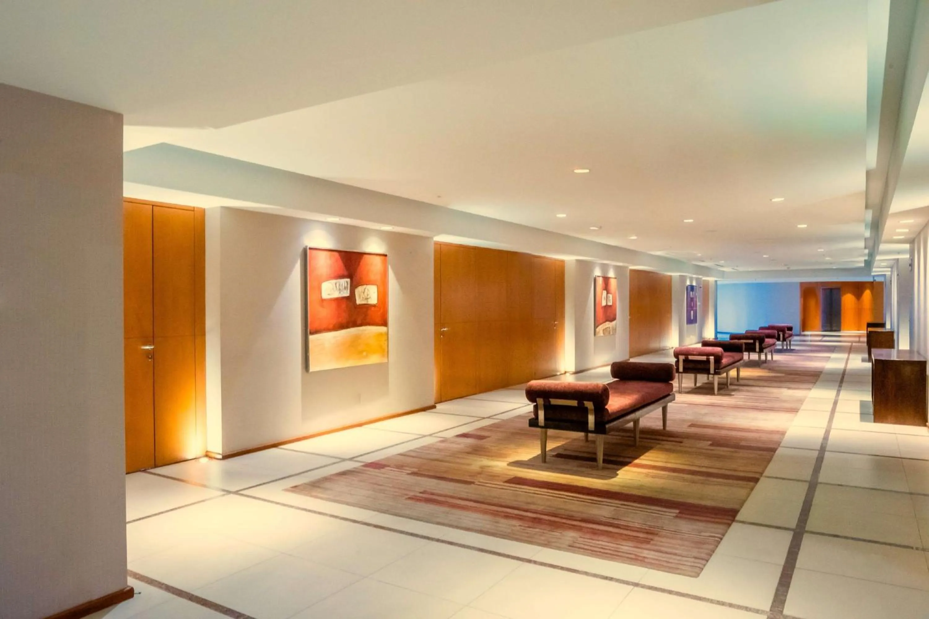 Meeting/conference room in Hilton Mendoza