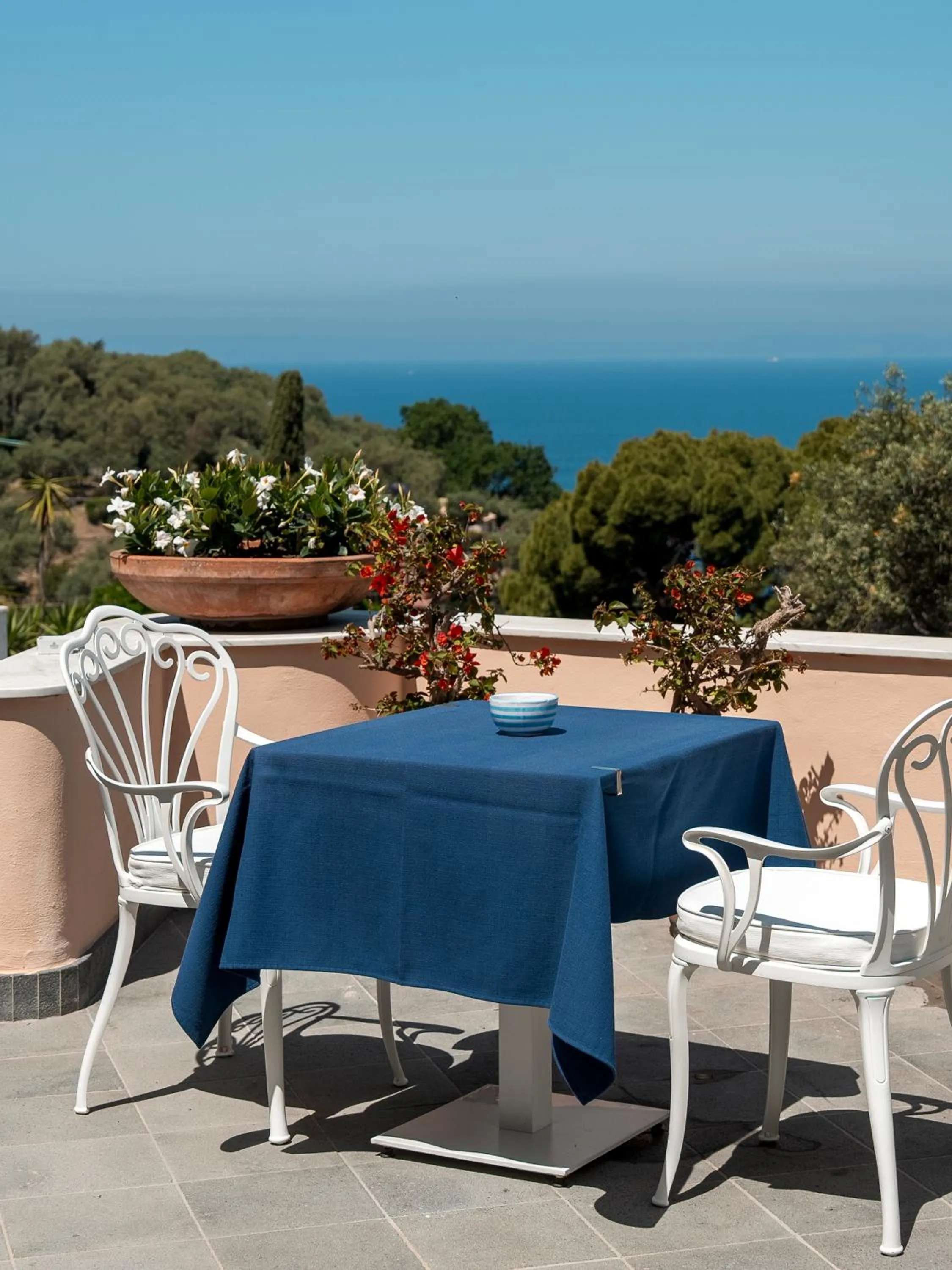 Restaurant/places to eat in Hotel Miramare