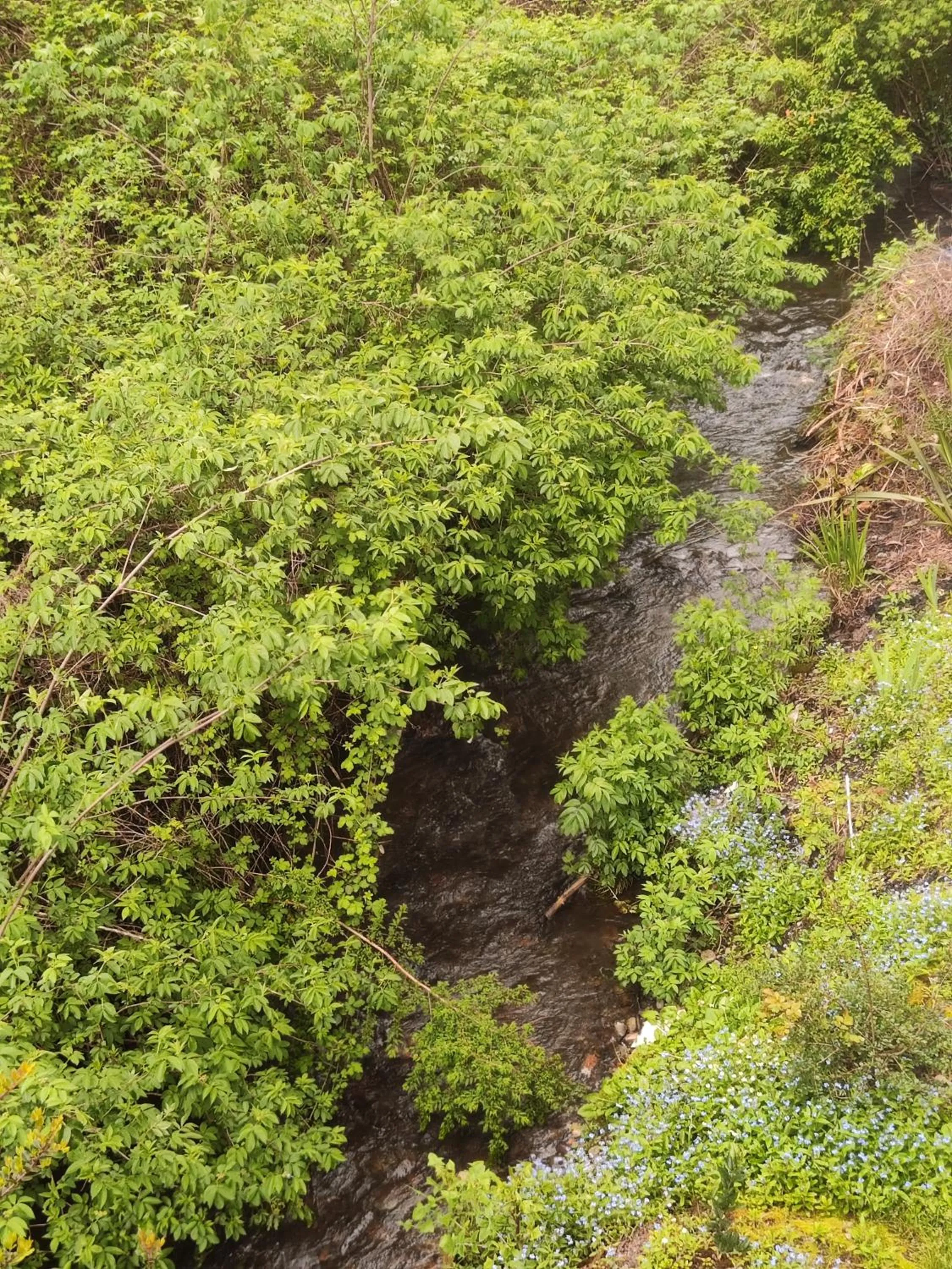 Spring in Omi Kika B&B