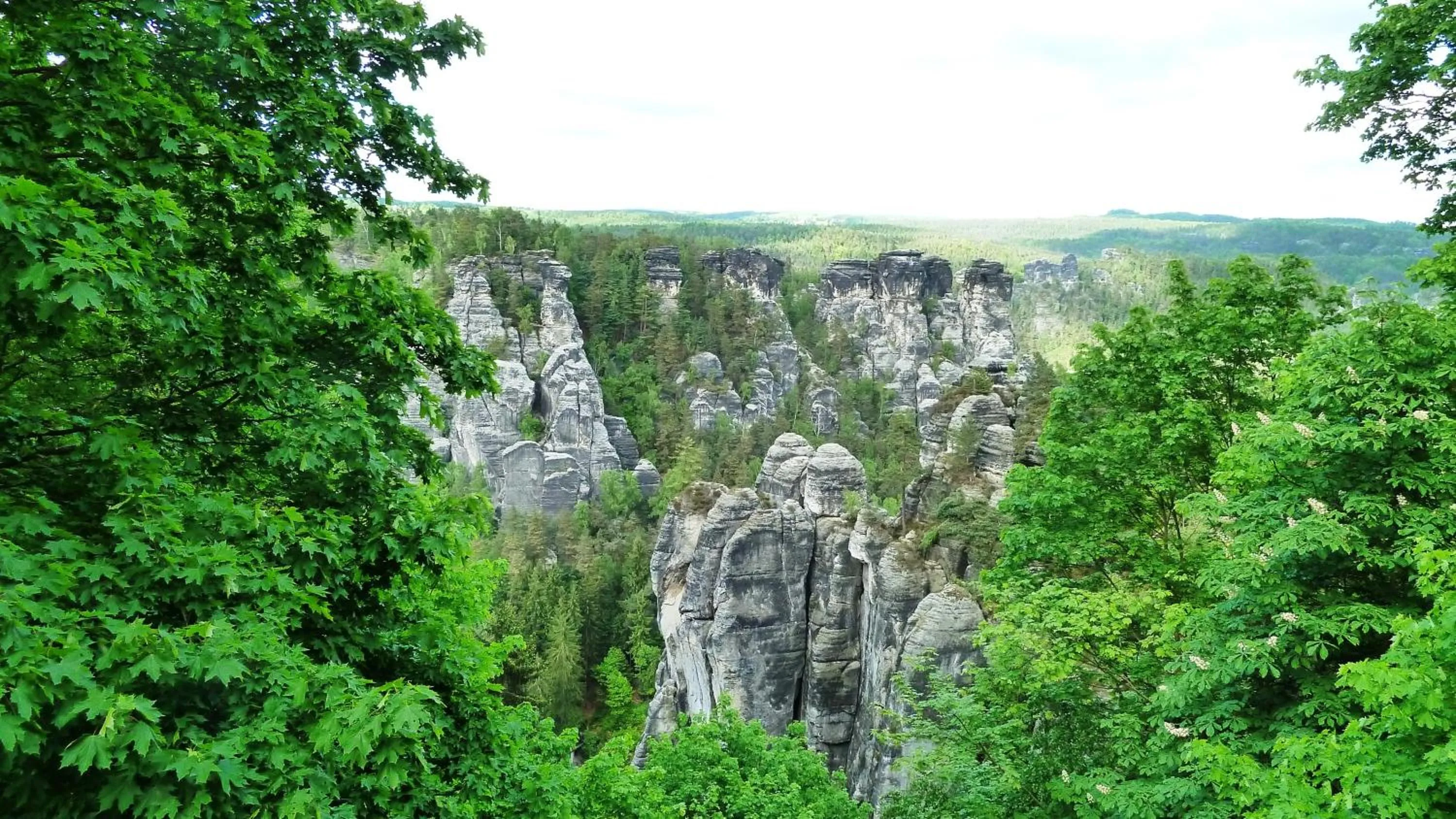 Other in MB Hotel Weißer Hirsch