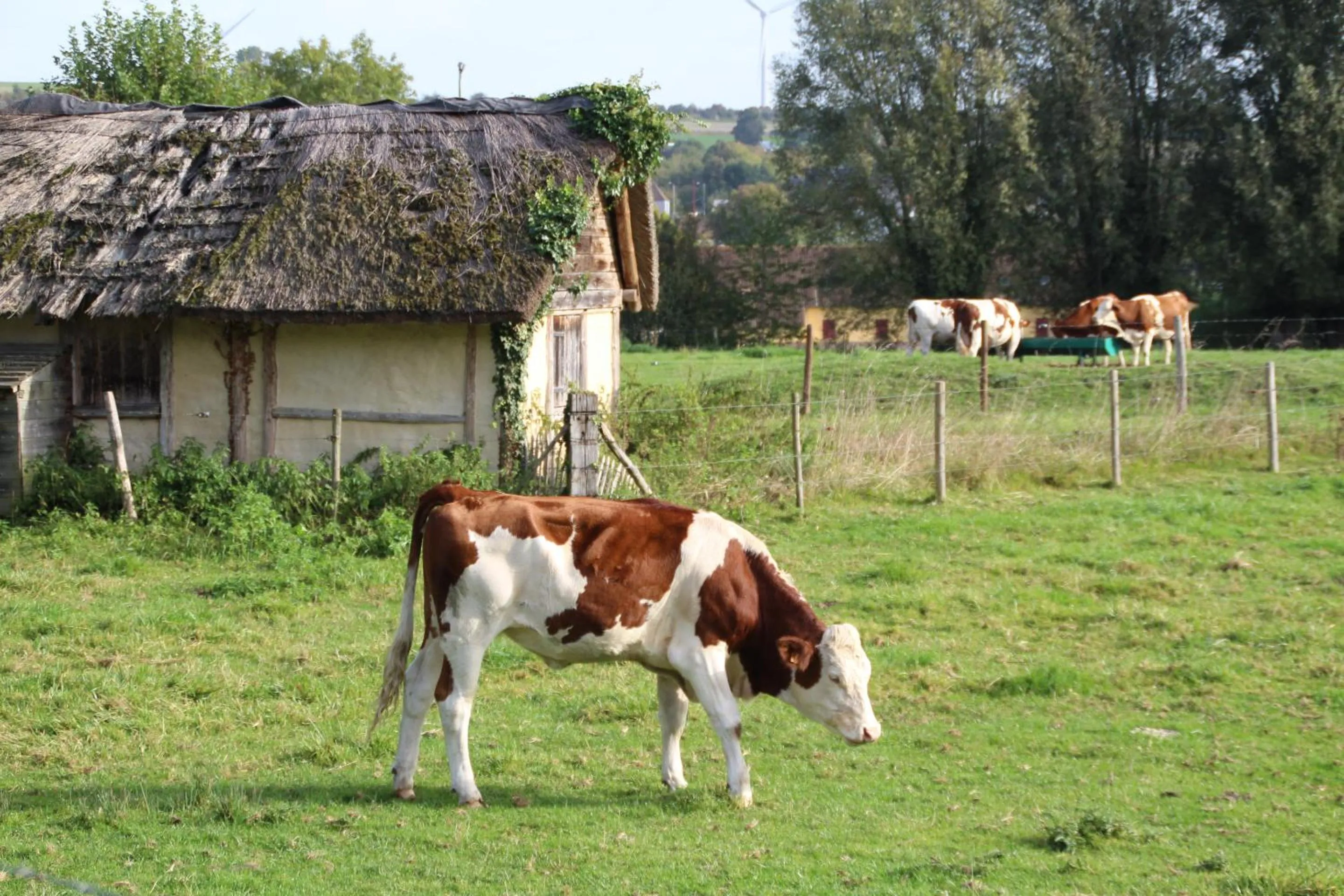 Neighbourhood in Sealov- Nuit sur un bateau à quai, halte bucolique entre Pont-Remy et Abbeville