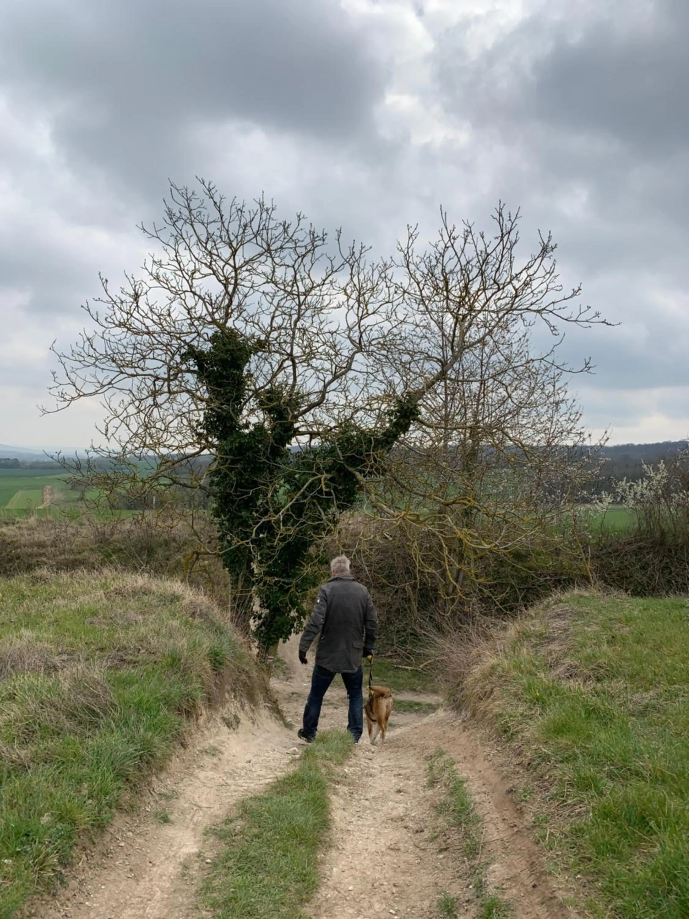 Natural landscape in YXIE - Manoir des Arts
