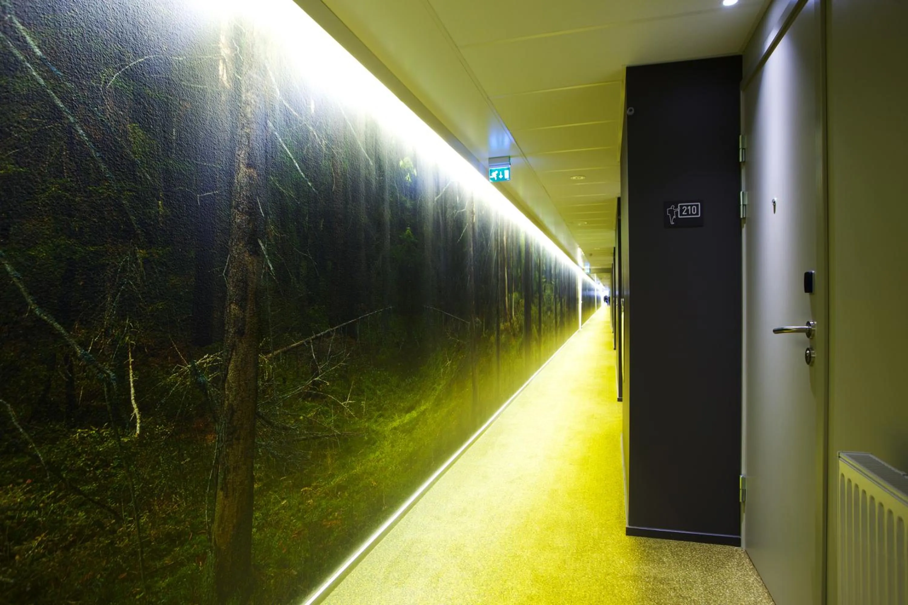 Decorative detail in Comfort Hotel City