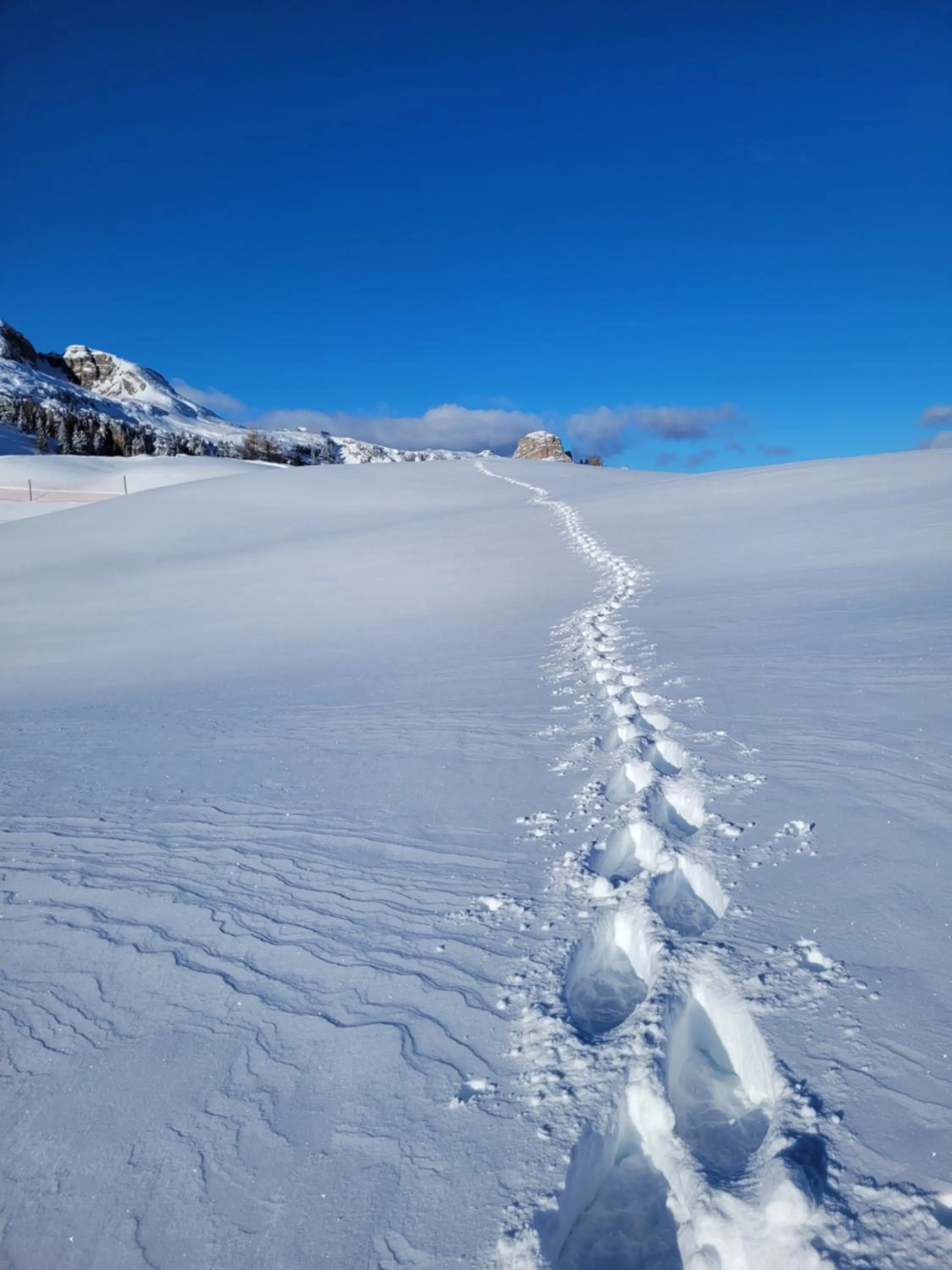 Nearby landmark in Hotel Garni Royal