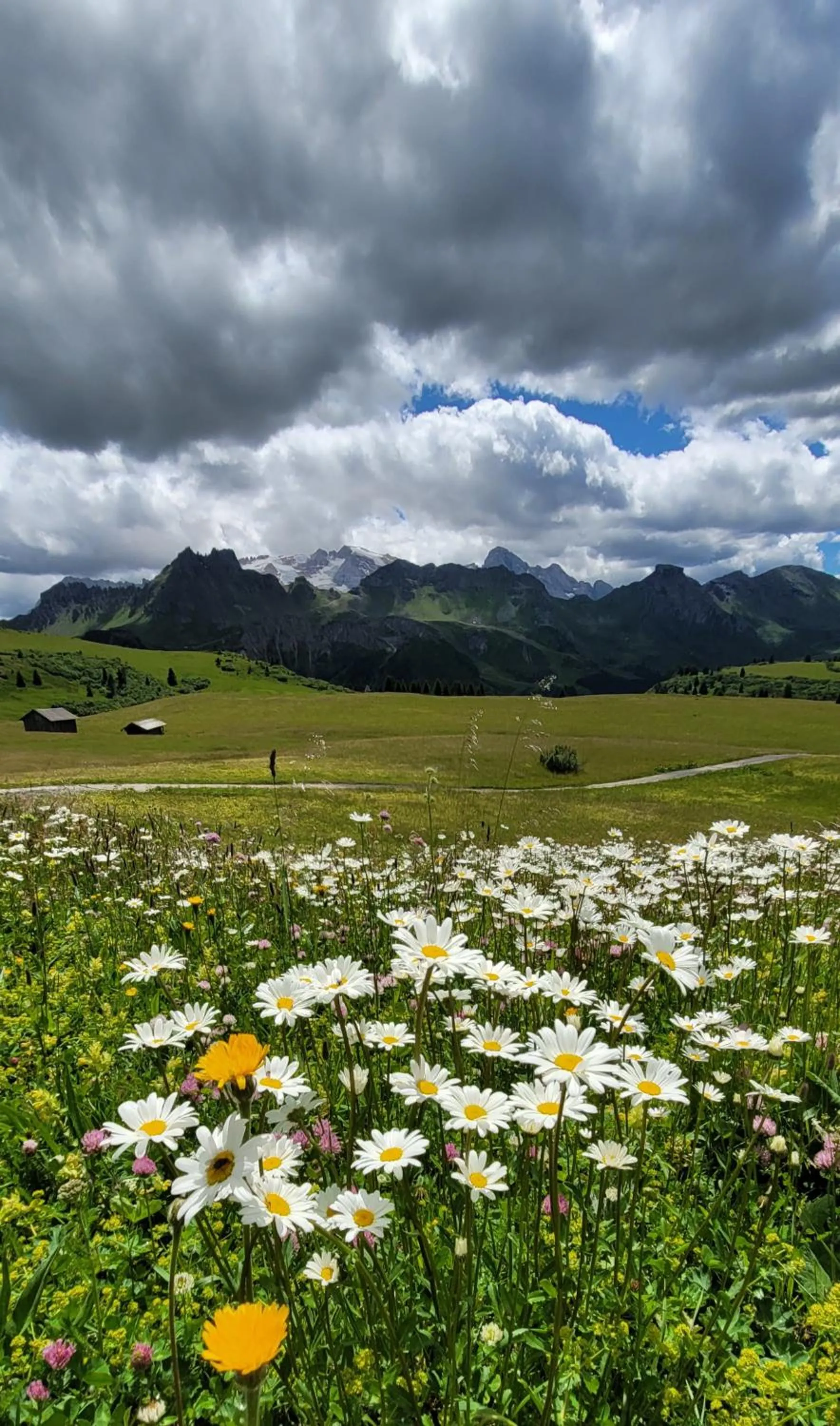Nearby landmark in Hotel Garni Royal