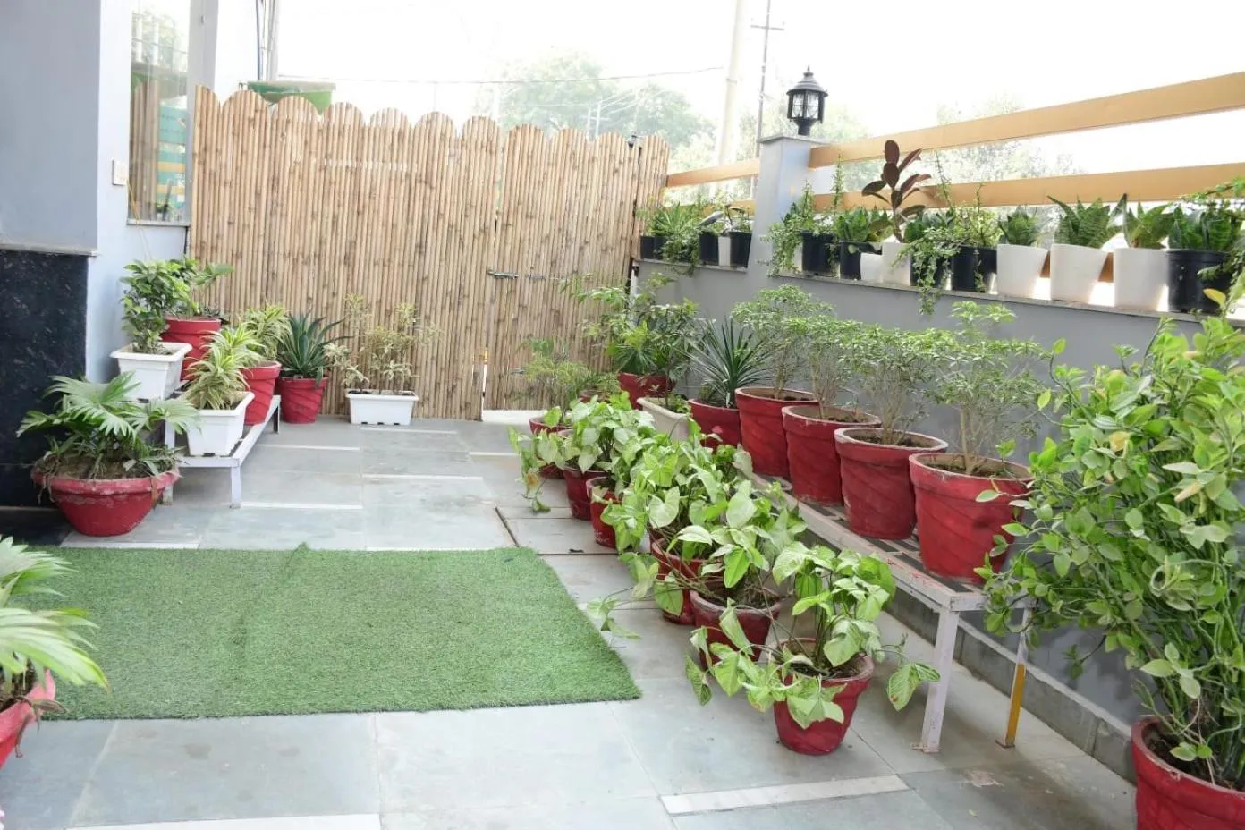 Garden in Hotel Stiltstay