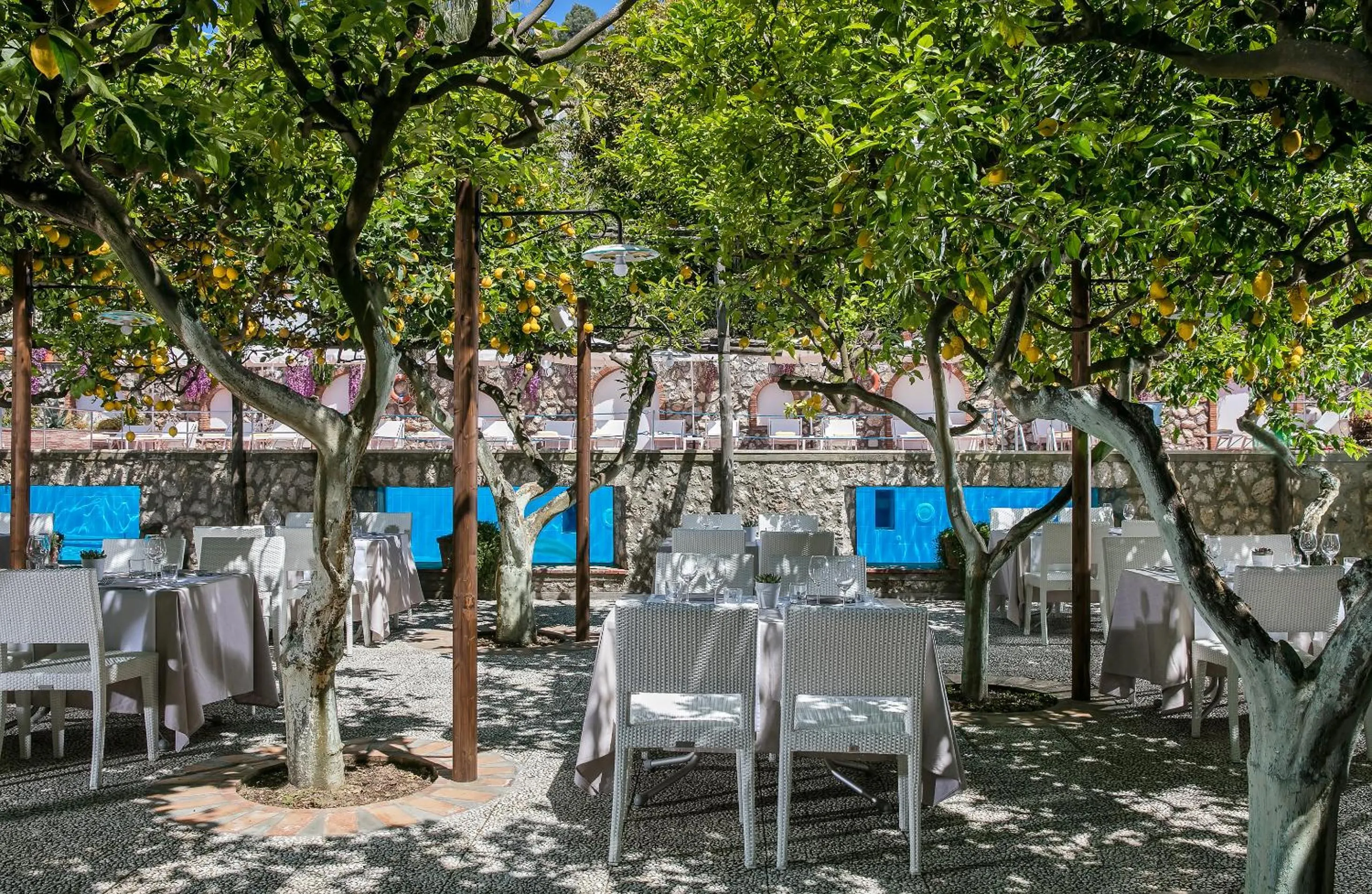 Restaurant/places to eat in Hotel Syrene