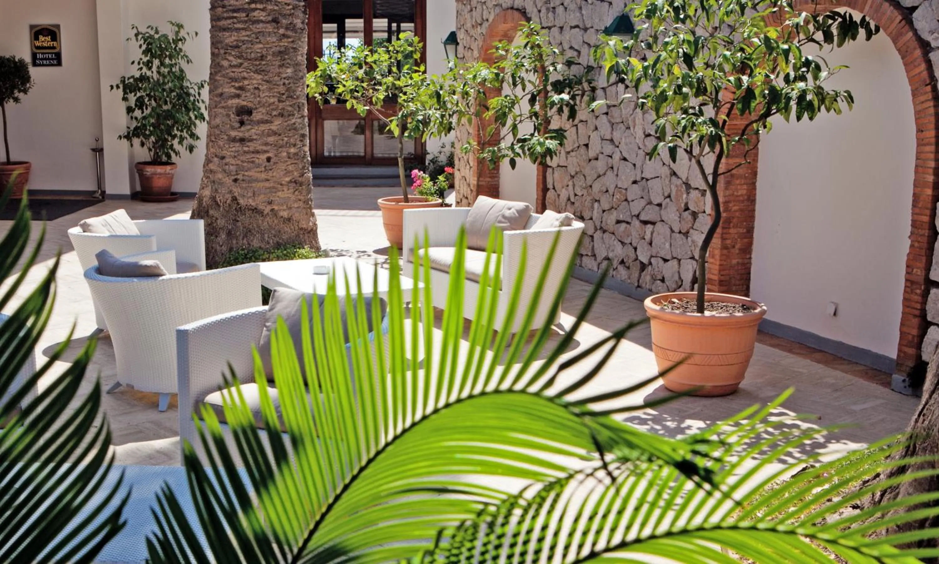 Garden in Hotel Syrene