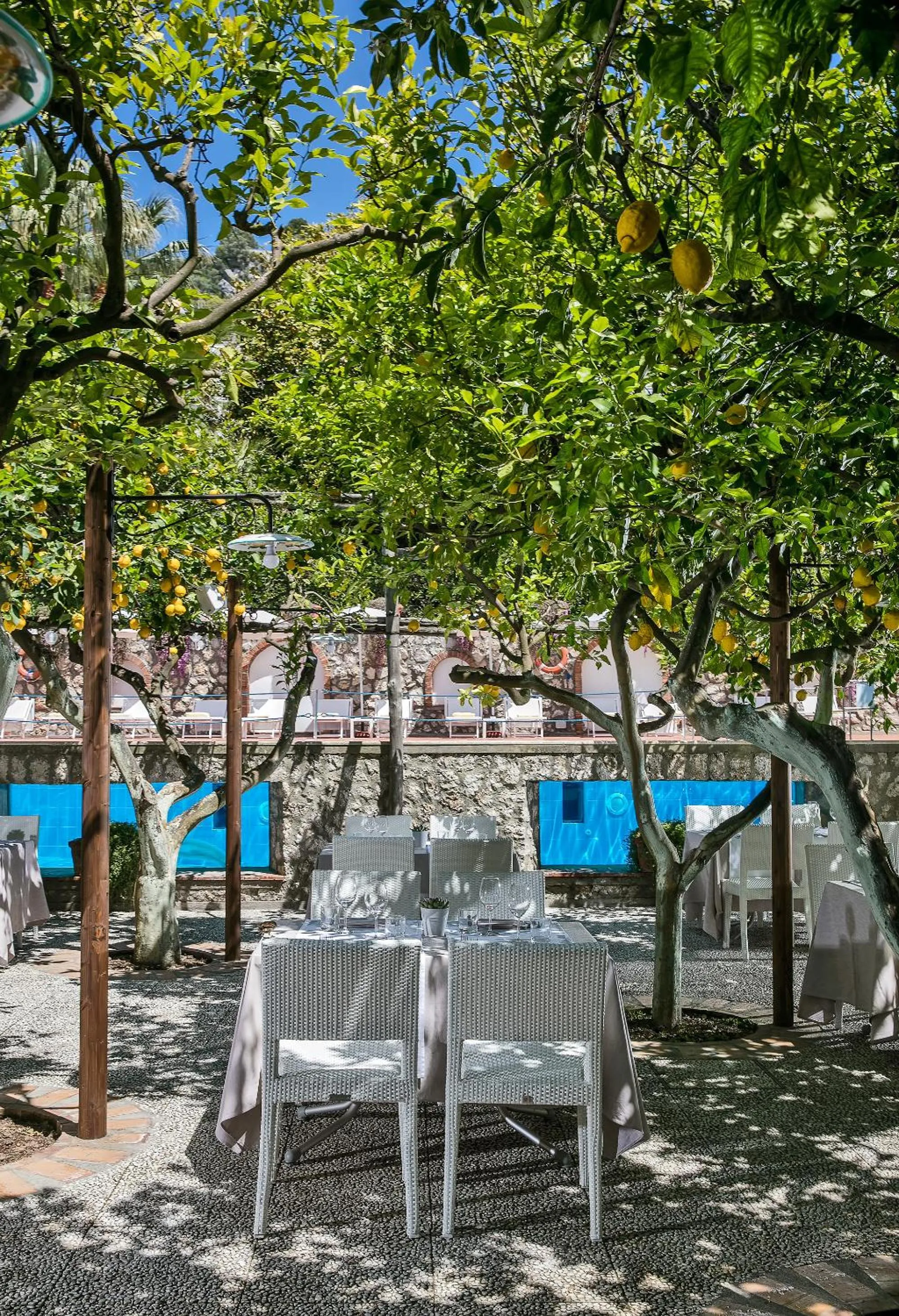 Restaurant/places to eat in Hotel Syrene