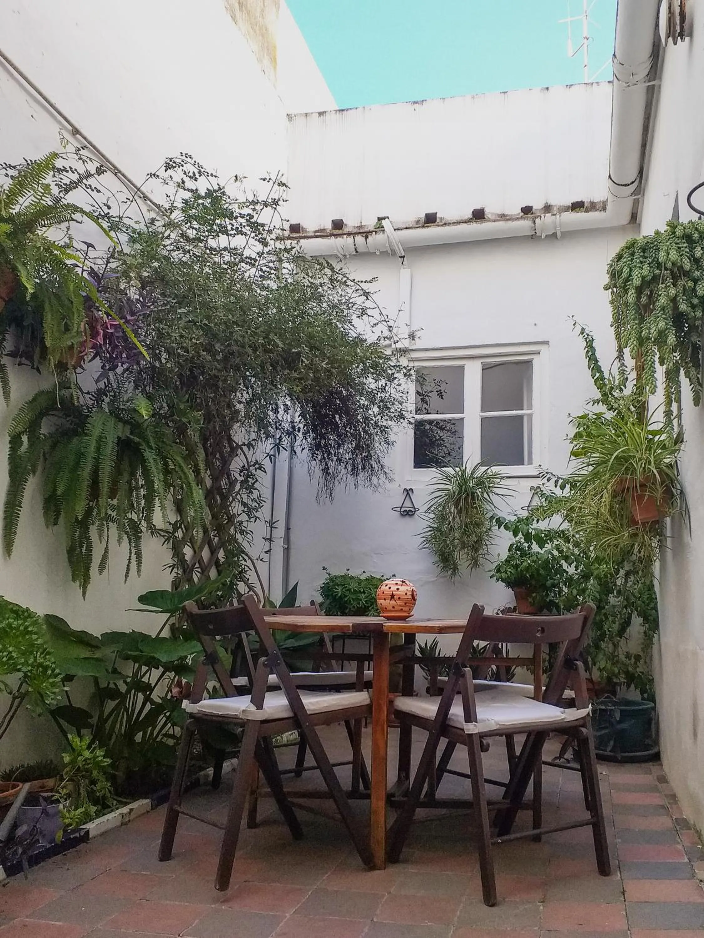 Patio in Casa Miraflores