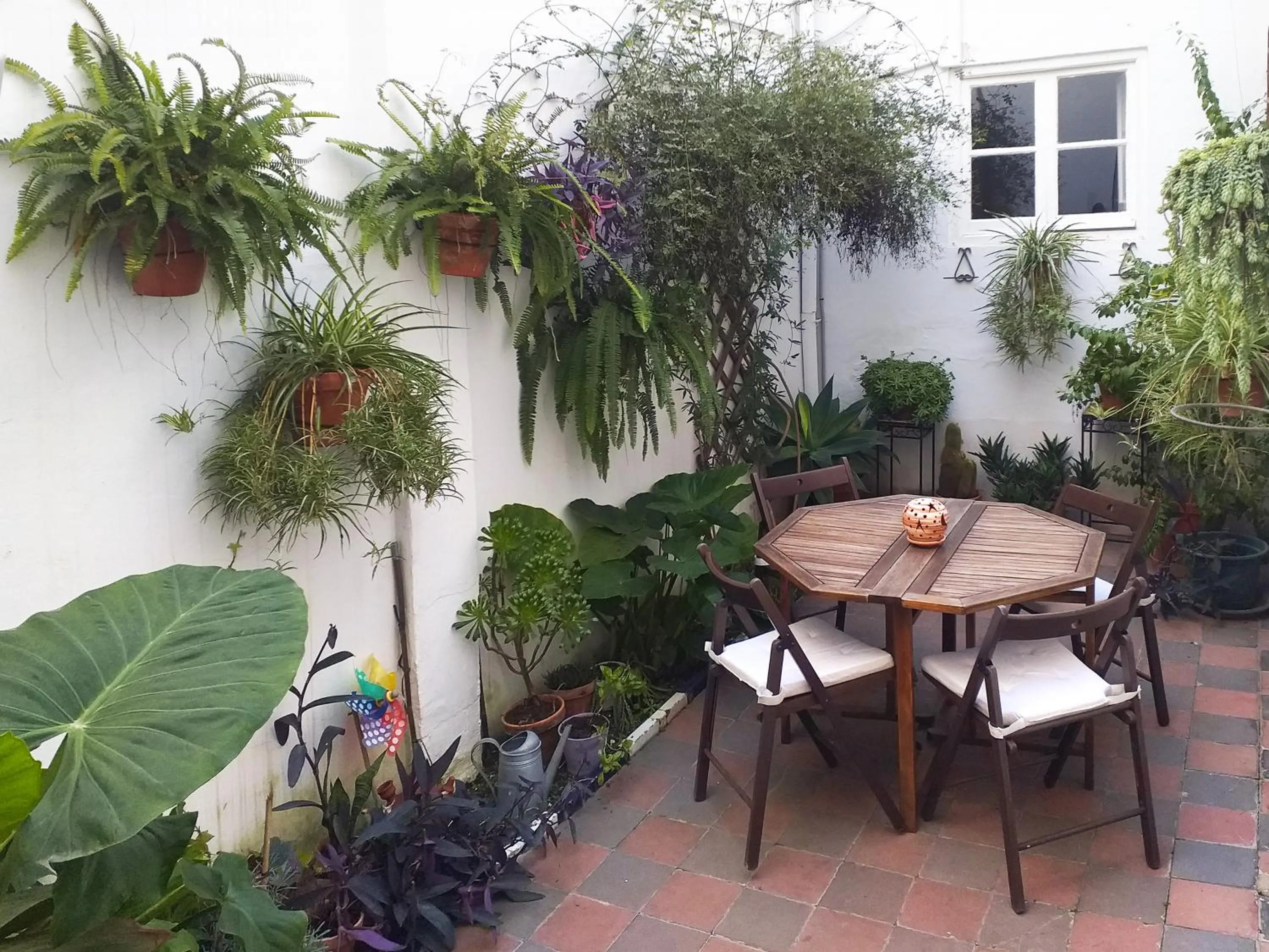 Patio in Casa Miraflores