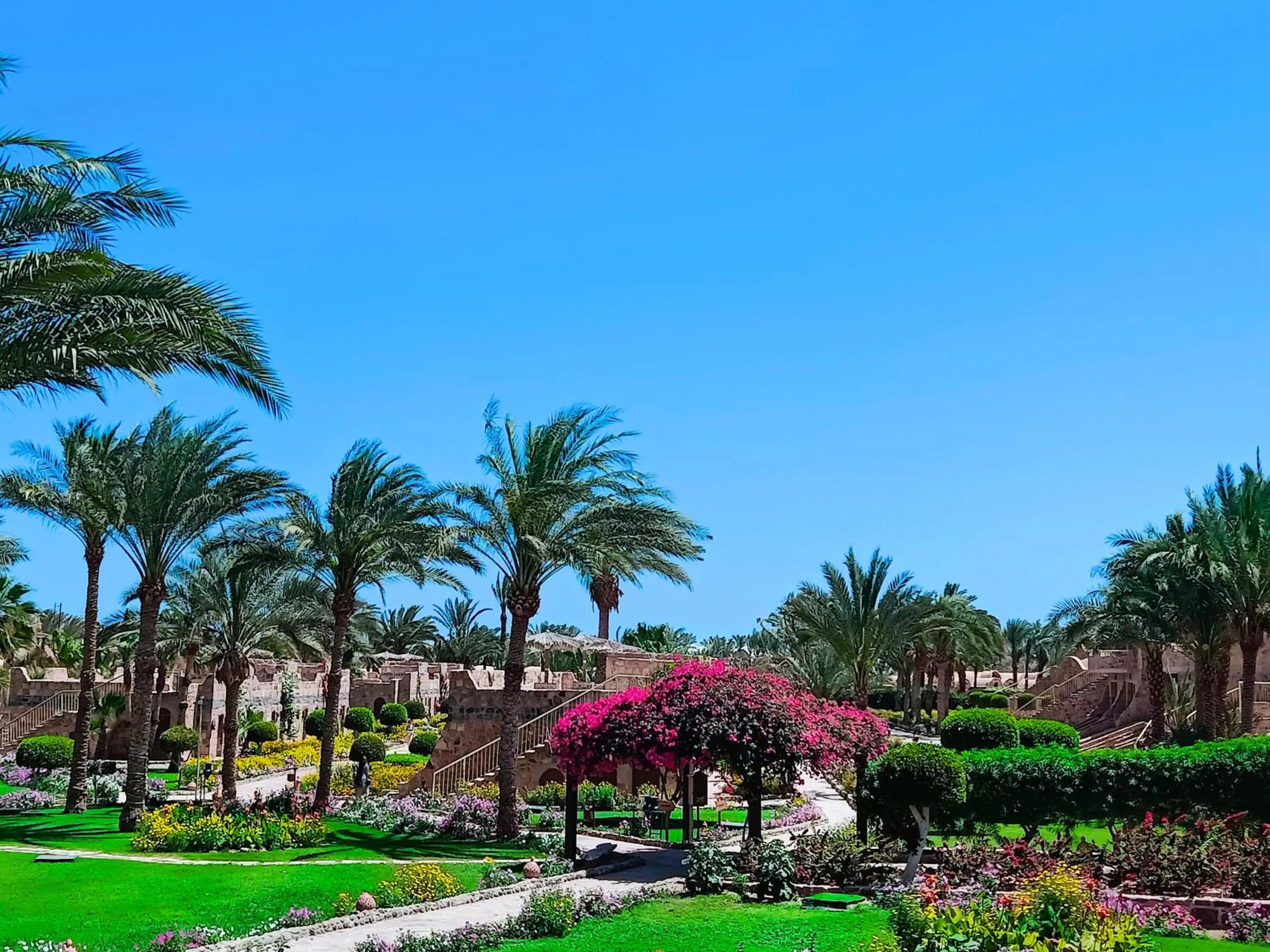 Garden in Utopia Beach Club