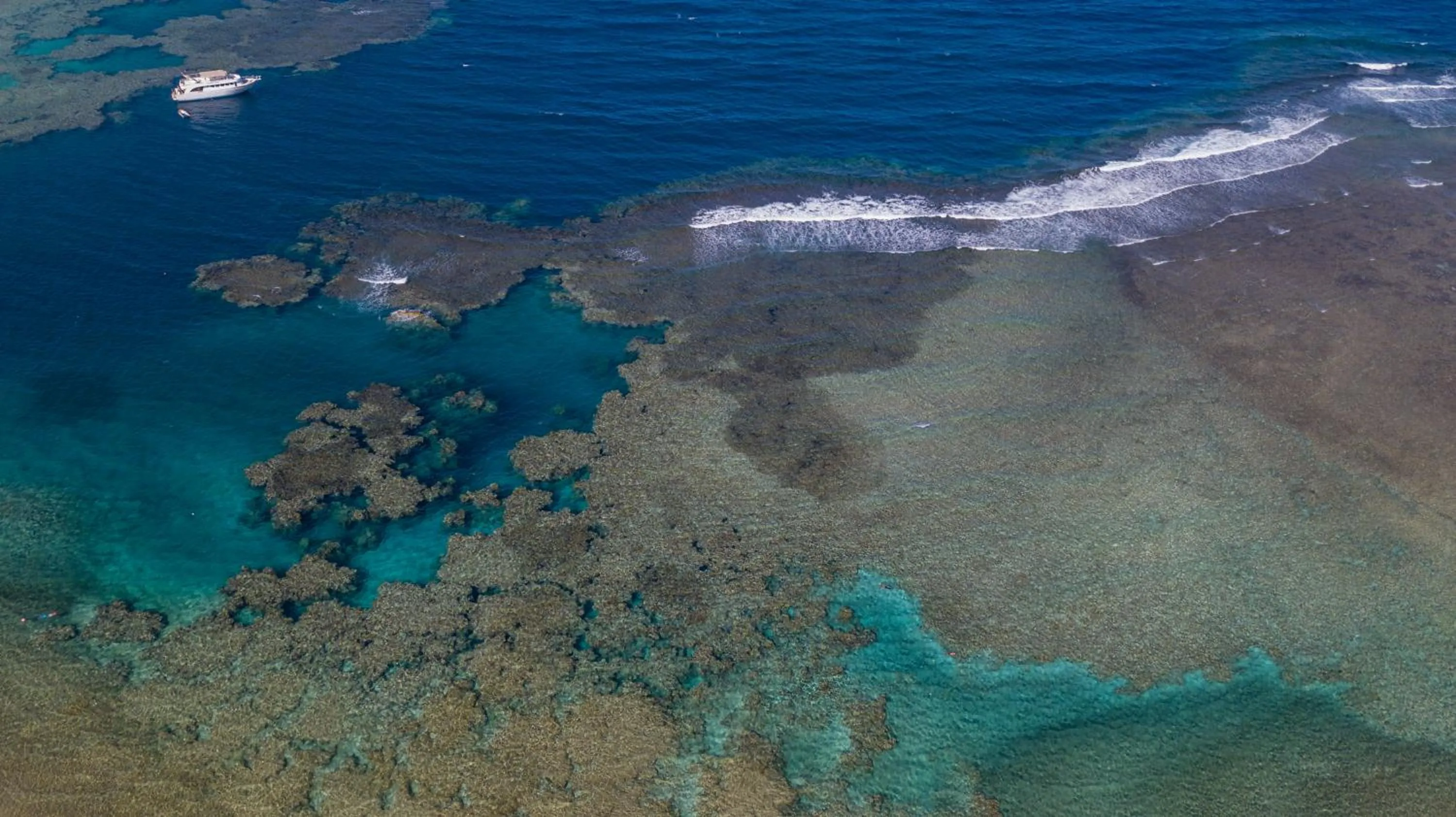 Diving in Utopia Beach Club