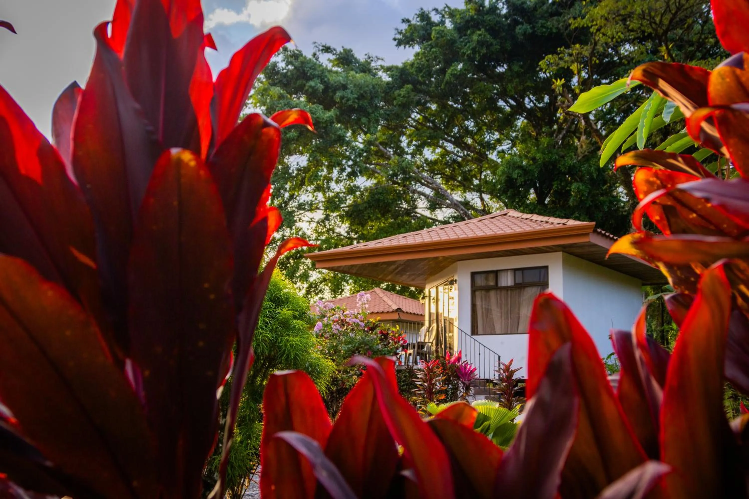 Garden in Miradas Arenal Hotel & Hotsprings