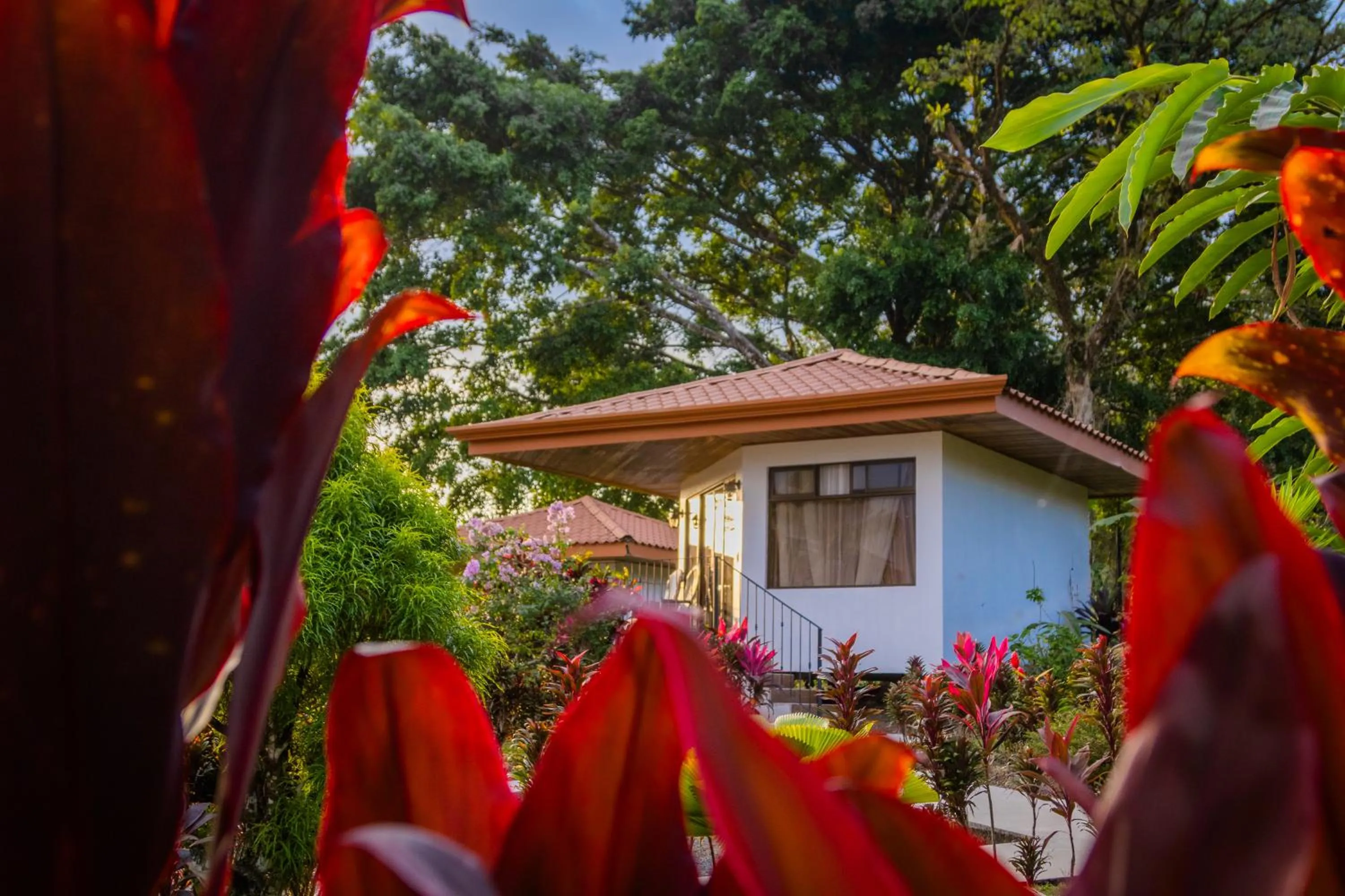 Garden in Miradas Arenal Hotel & Hotsprings