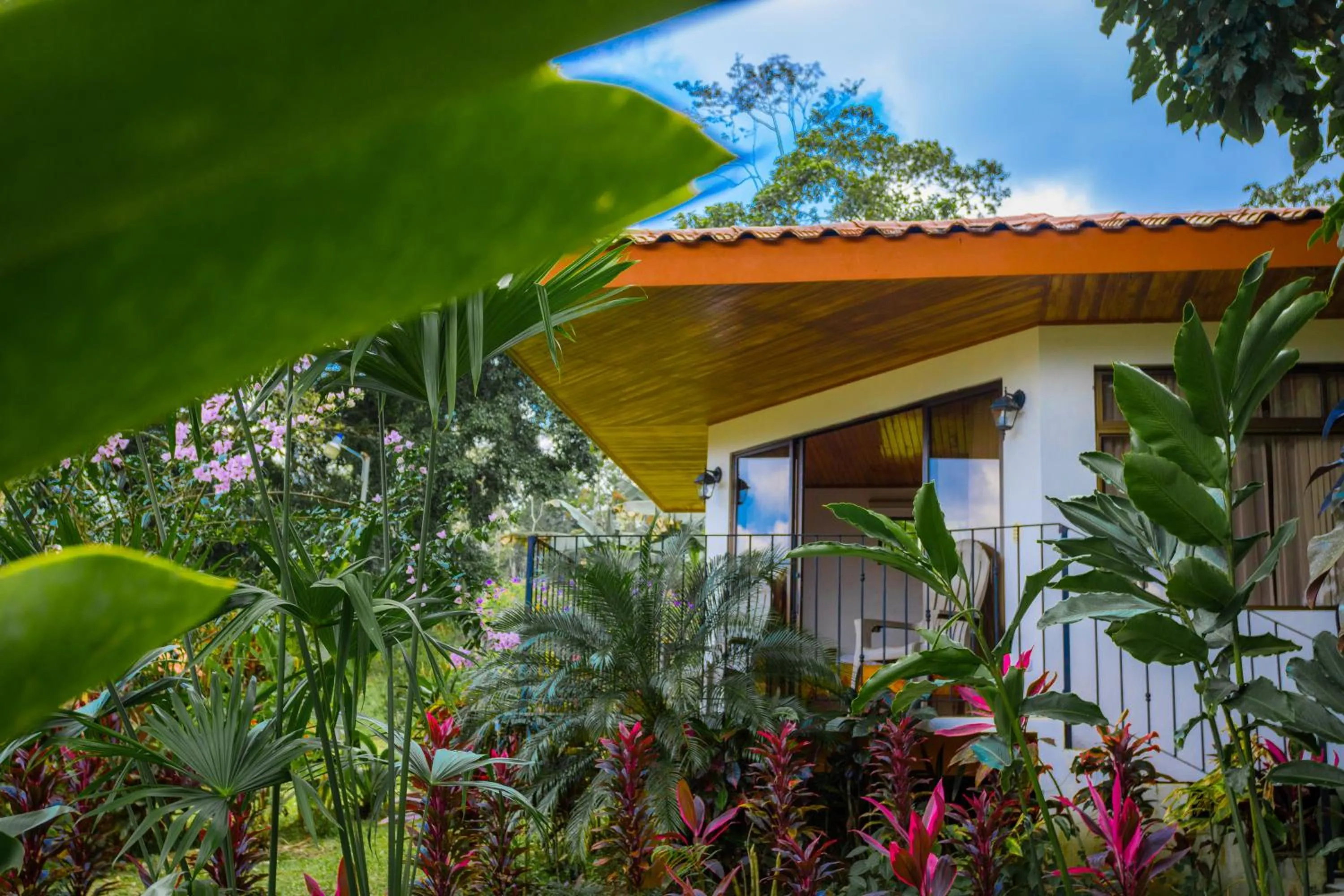 Garden in Miradas Arenal Hotel & Hotsprings