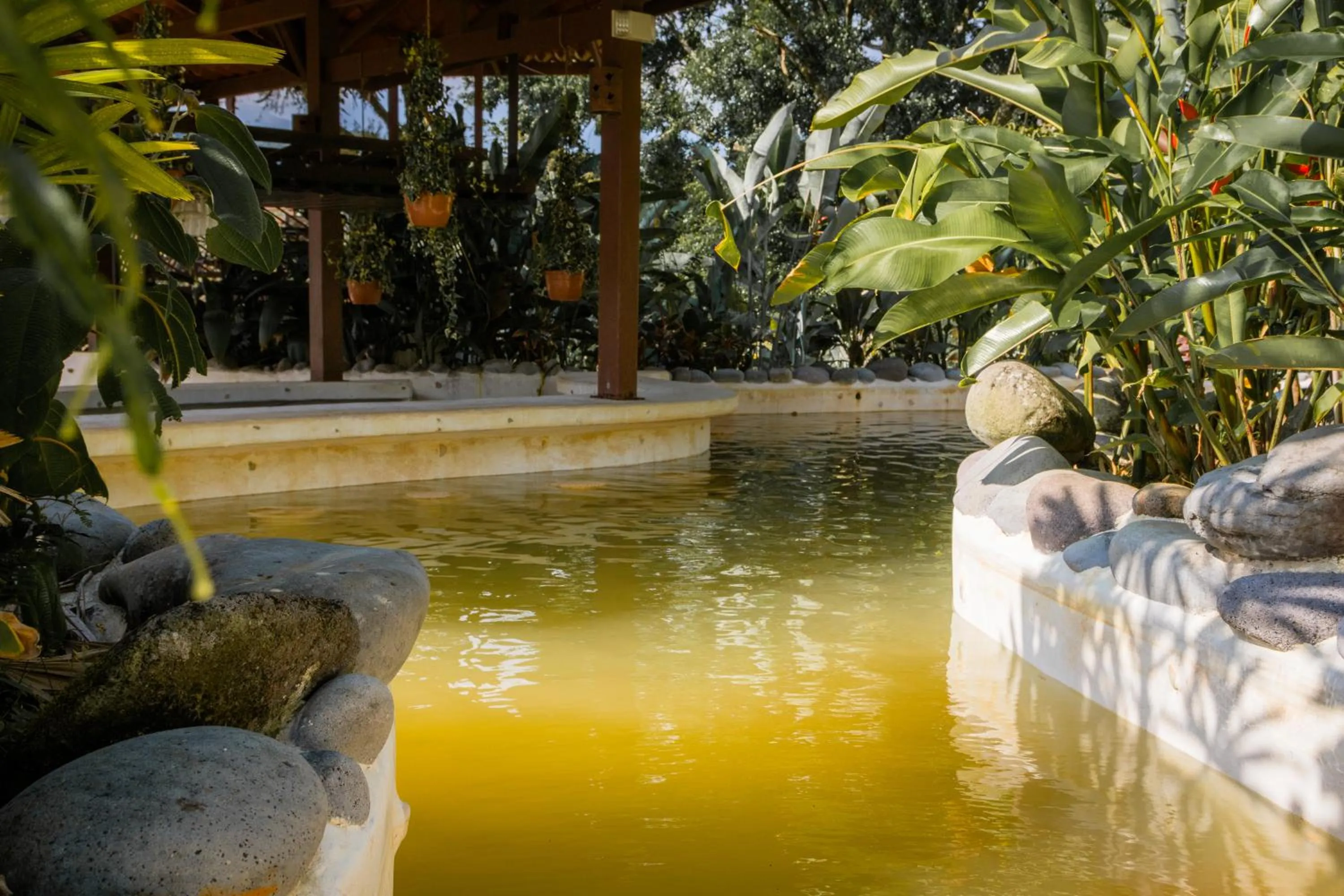 Pool view in Miradas Arenal Hotel & Hotsprings