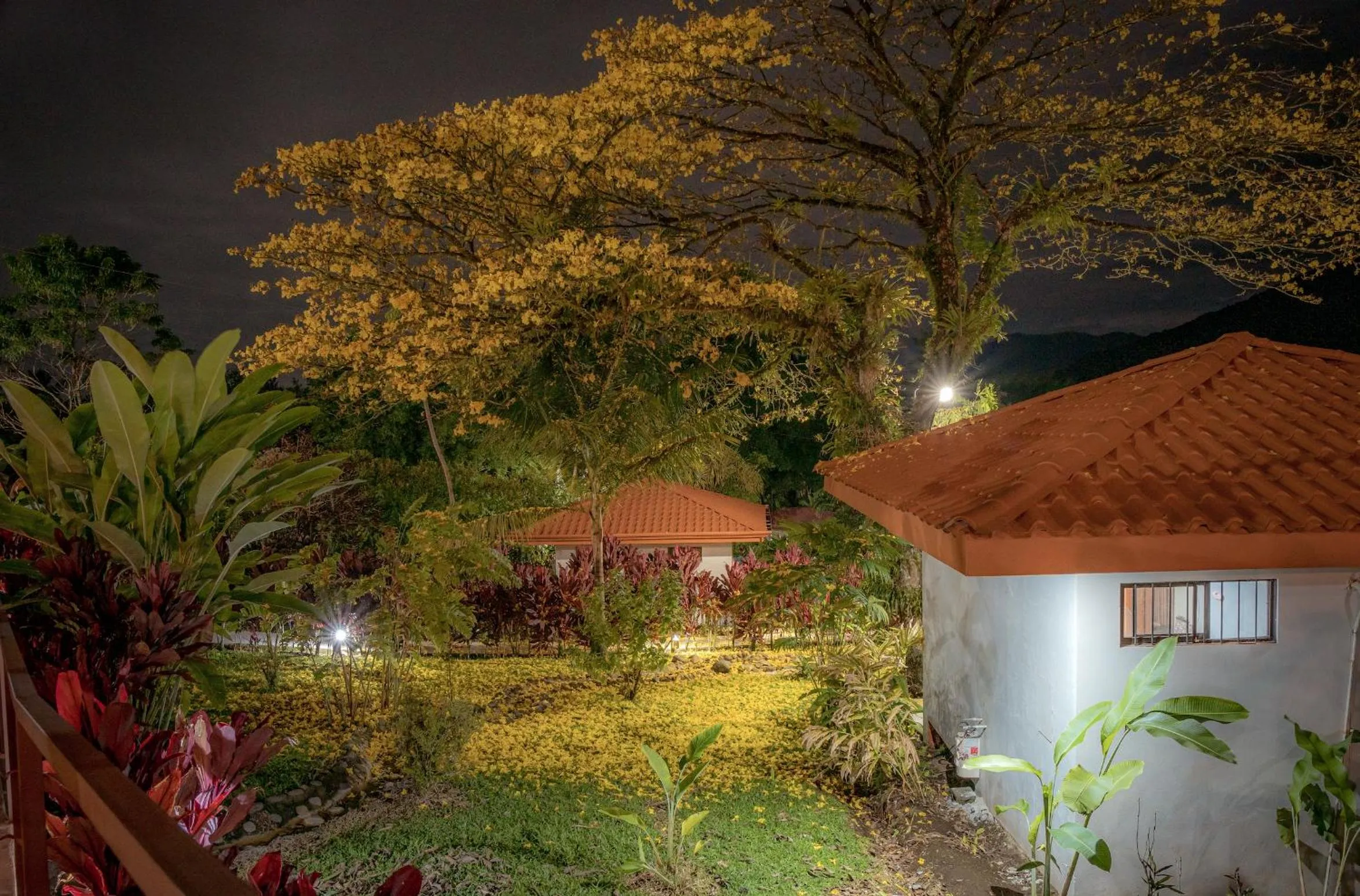 Garden in Miradas Arenal Hotel & Hotsprings