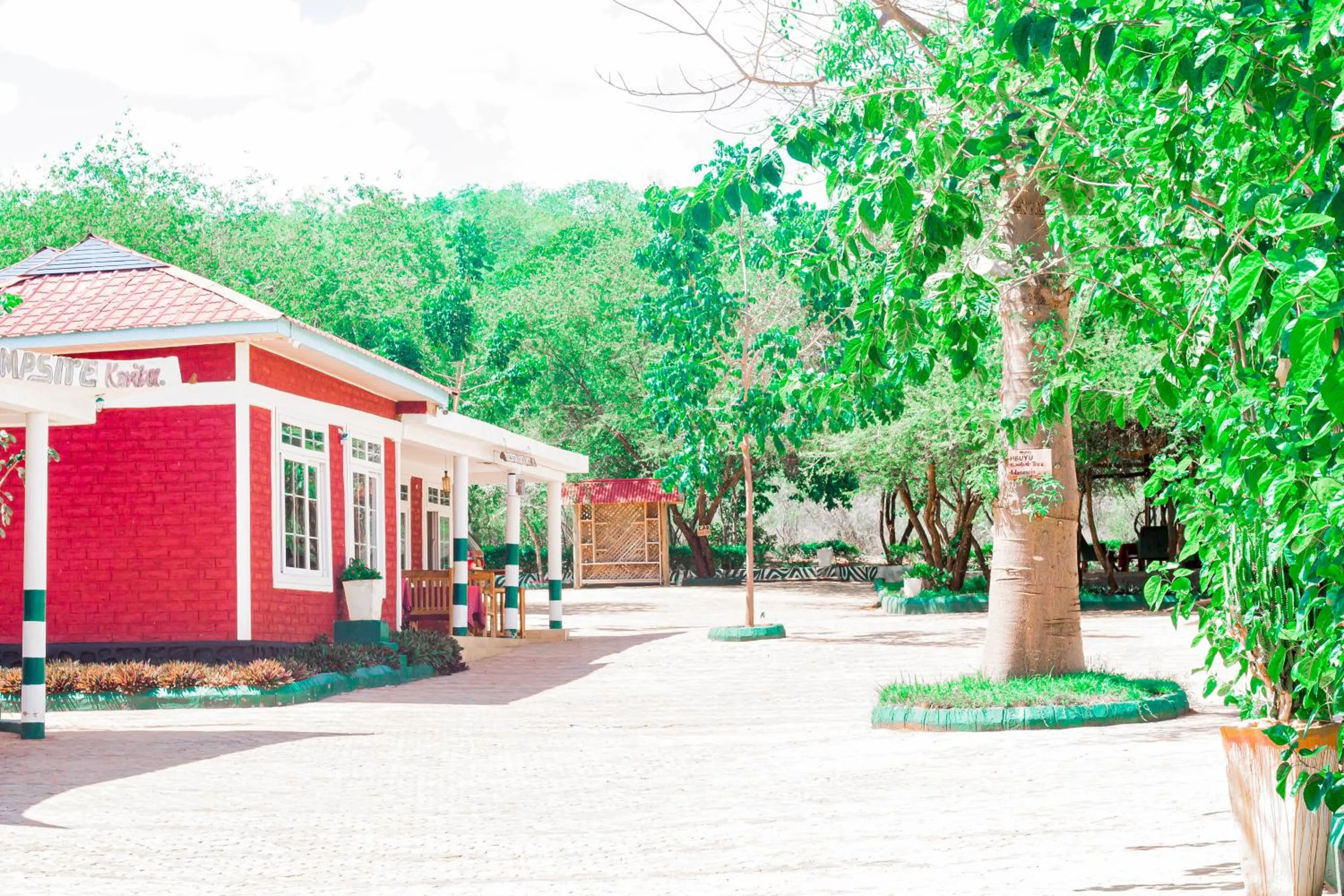 Property building in Mkomazi Hotels and Camps