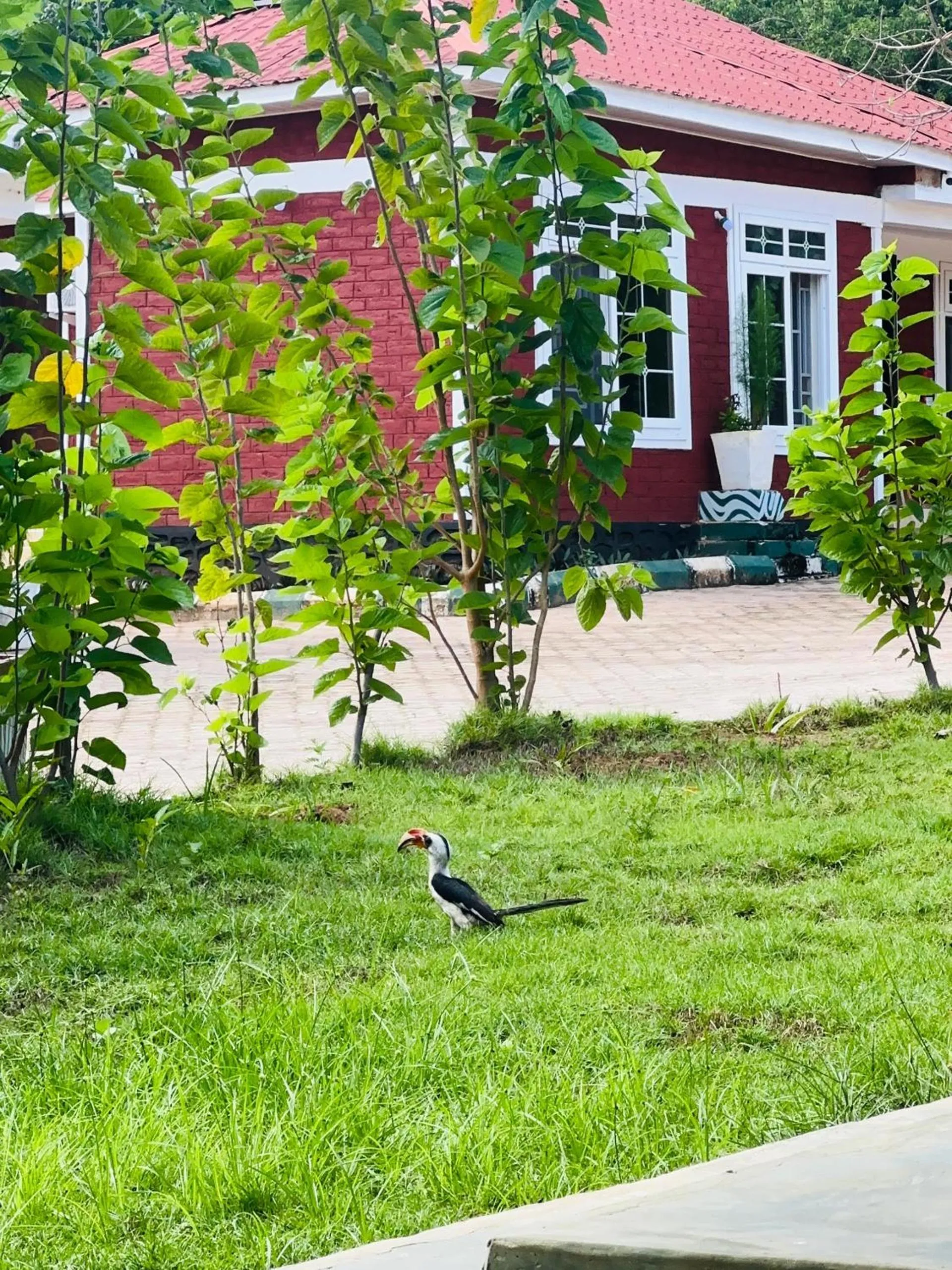 Property building in Mkomazi Hotels and Camps