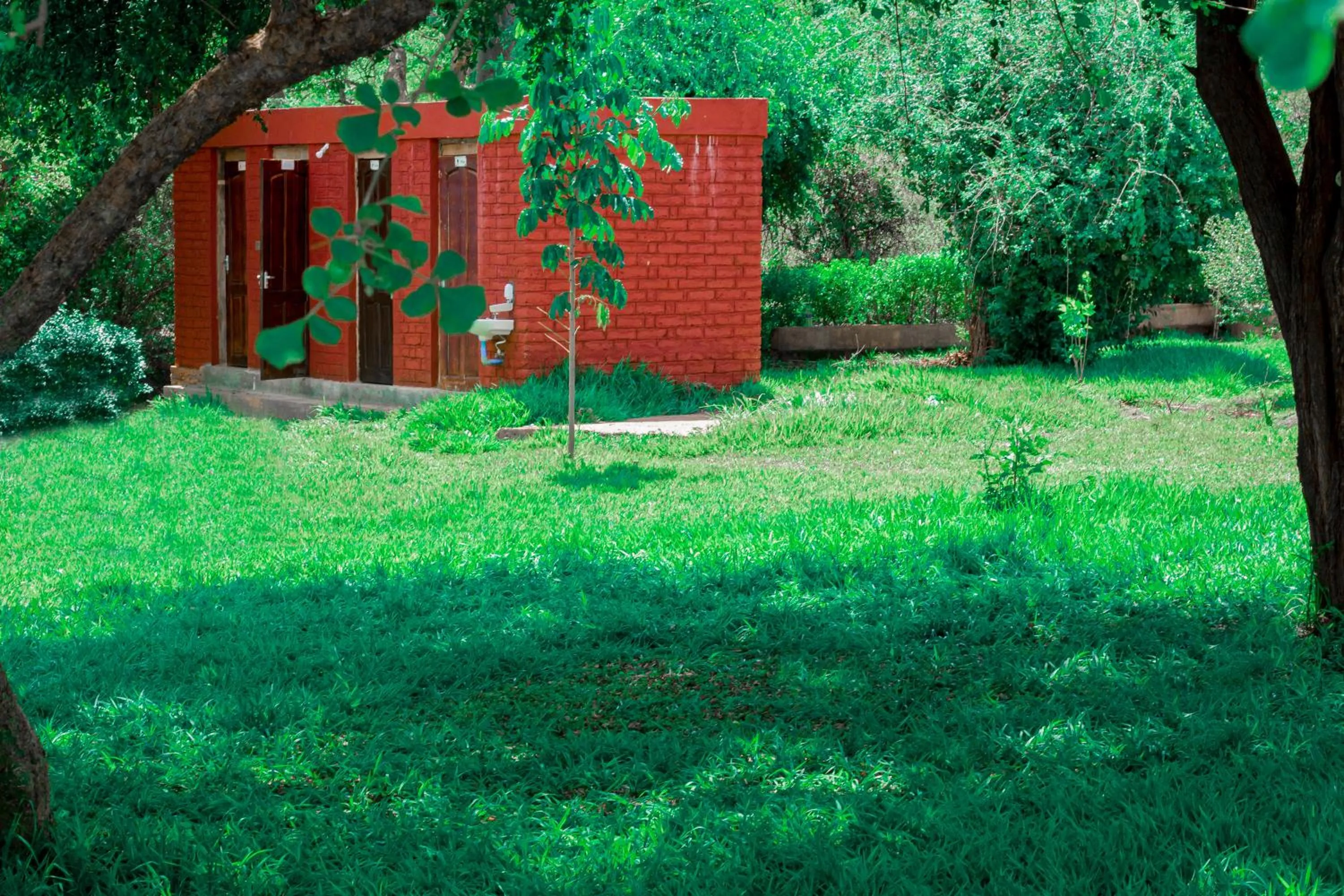 Natural landscape in Mkomazi Hotels and Camps