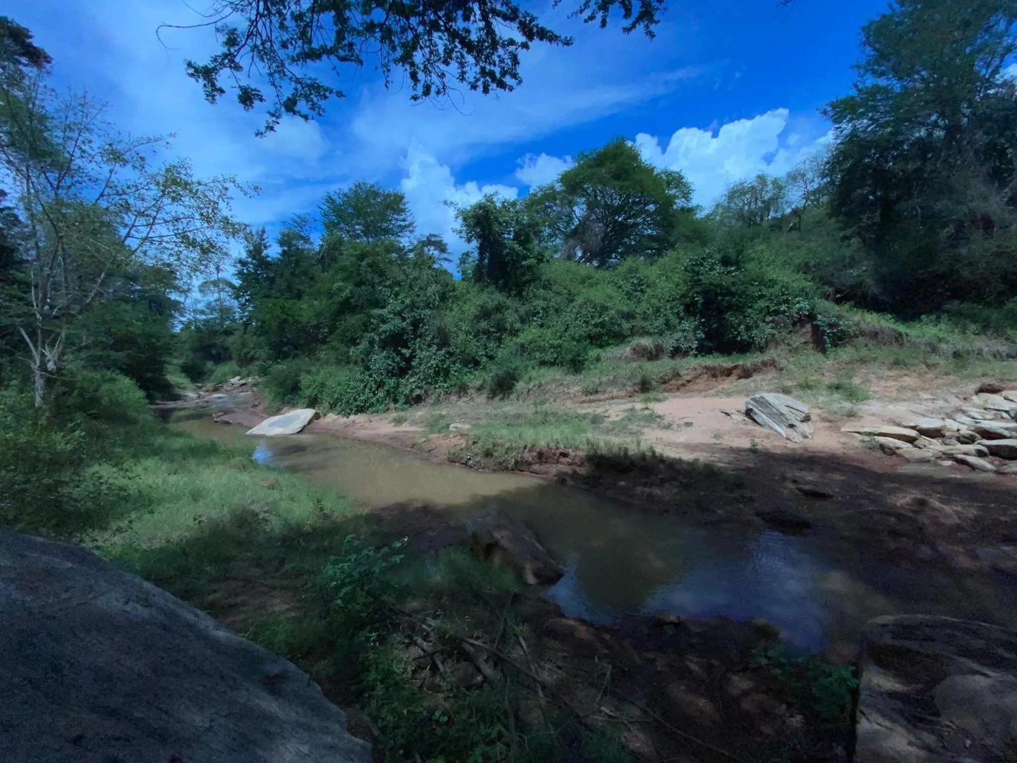 River view in Mkomazi Hotels and Camps
