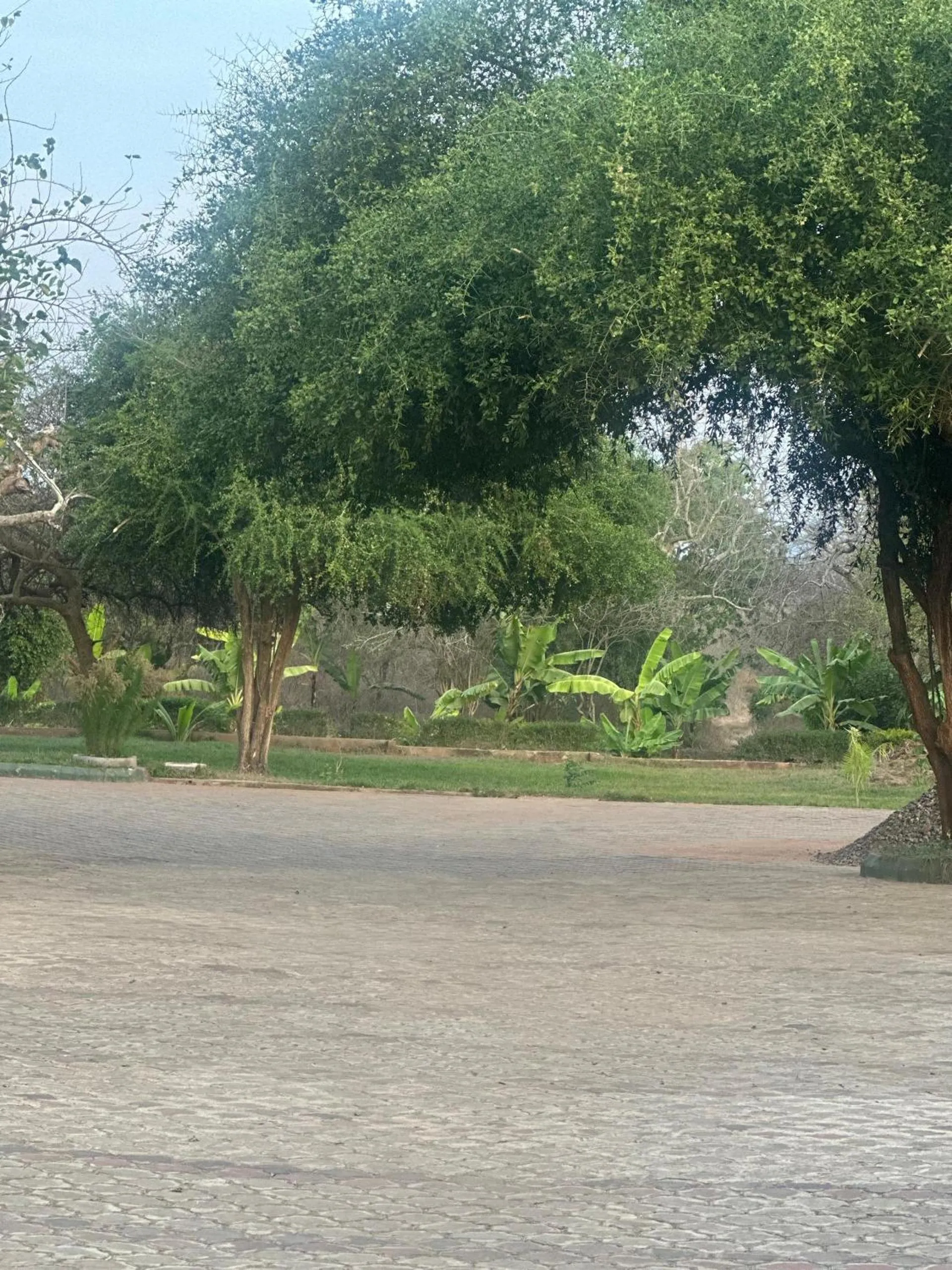 Property building in Mkomazi Hotels and Camps