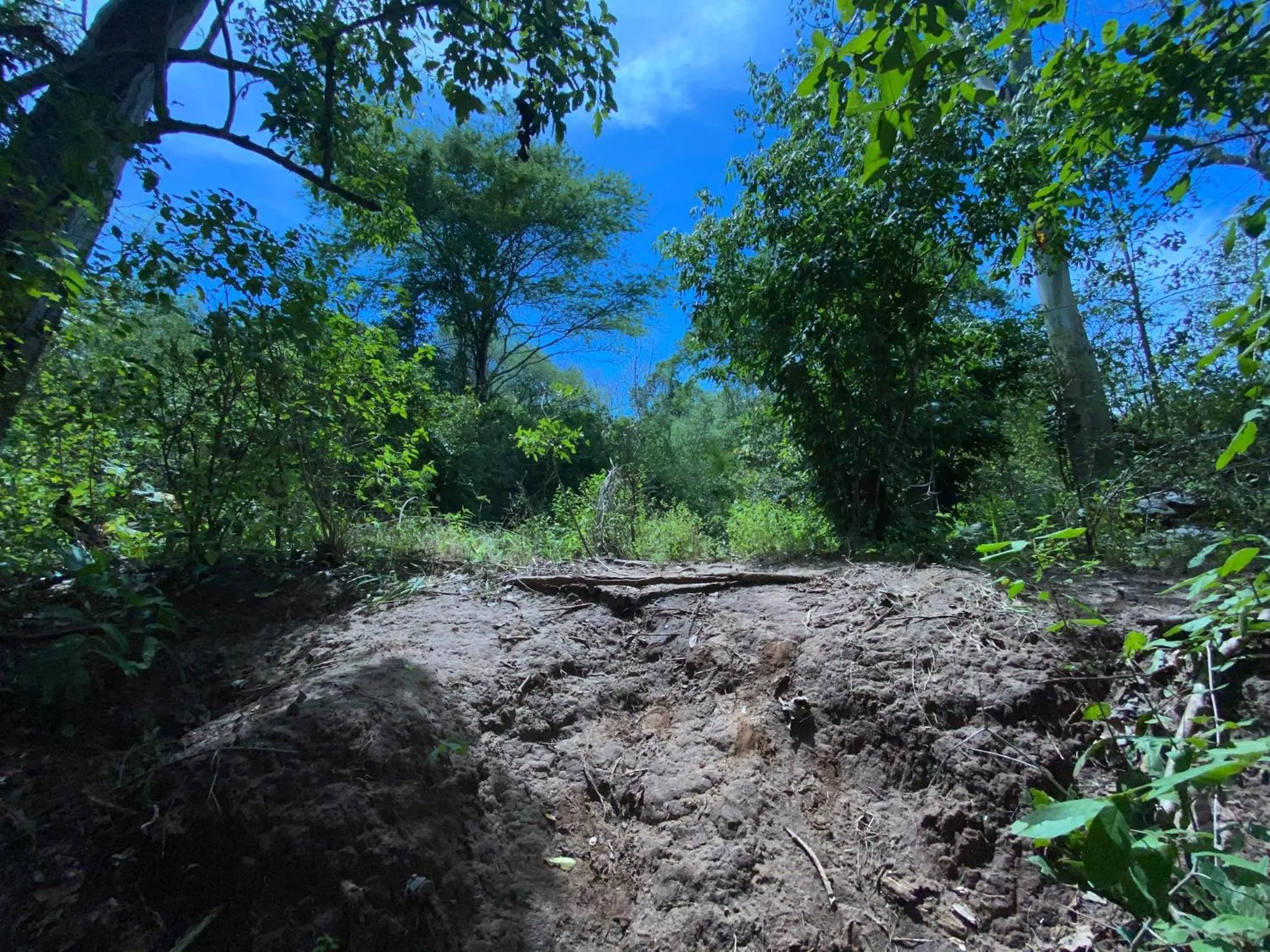 Natural landscape in Mkomazi Hotels and Camps