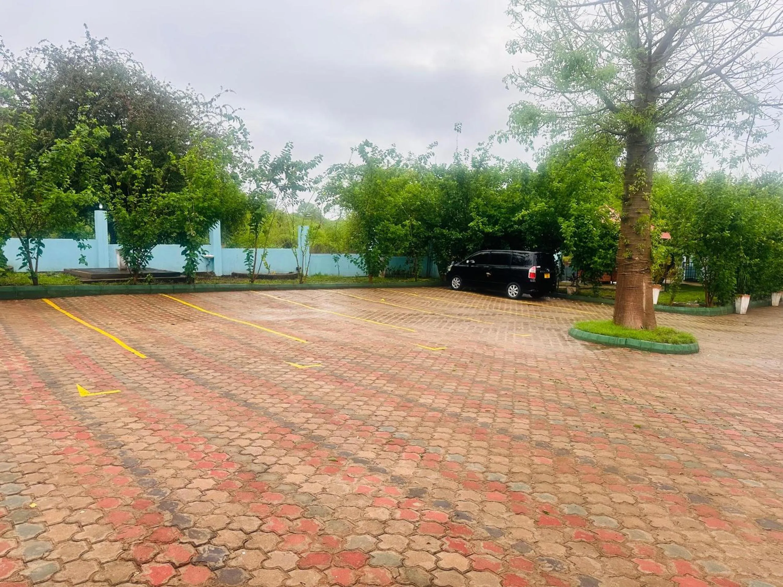 Parking in Mkomazi Hotels and Camps