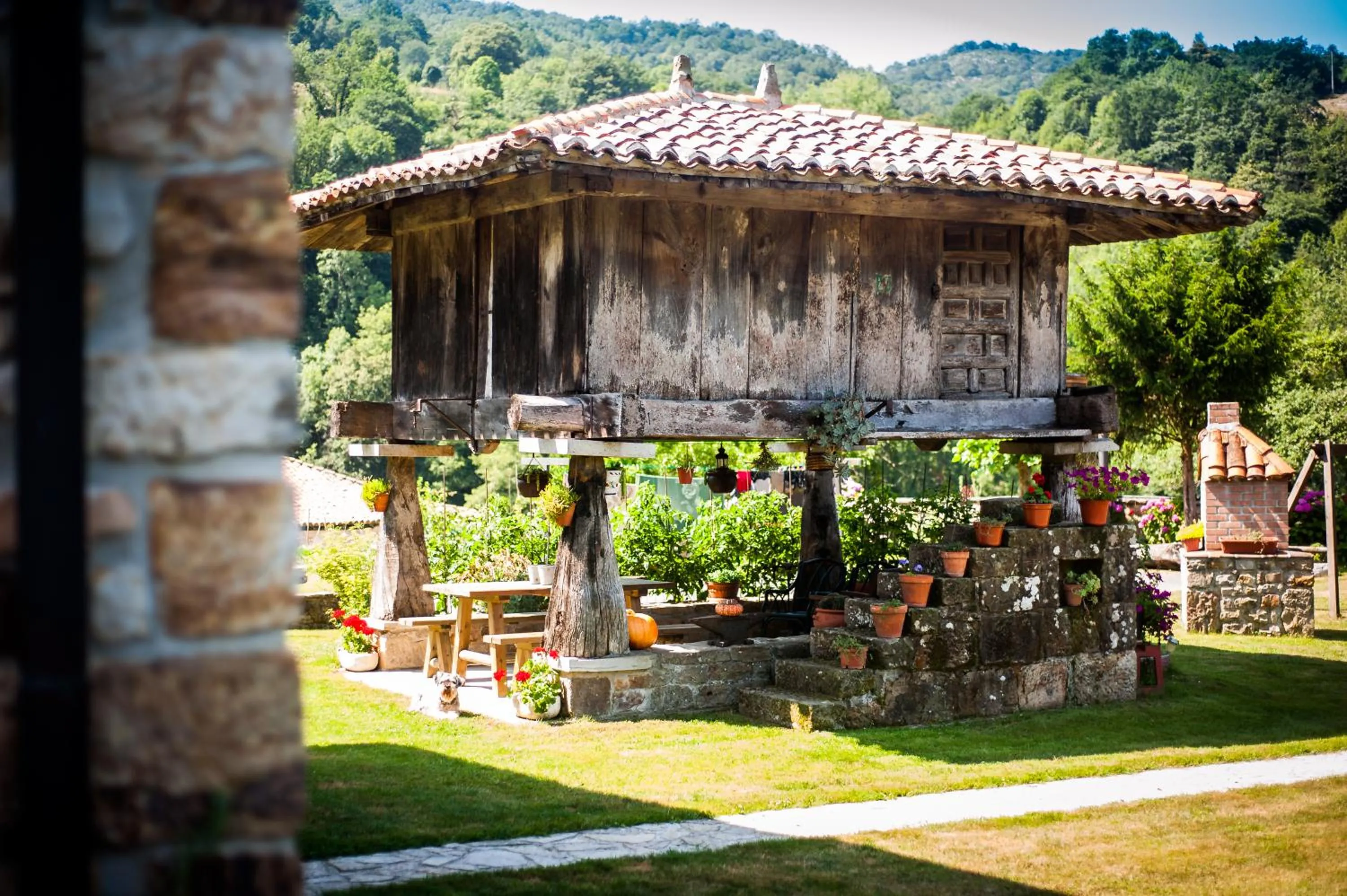 Garden in Casa de Aldea Riosol