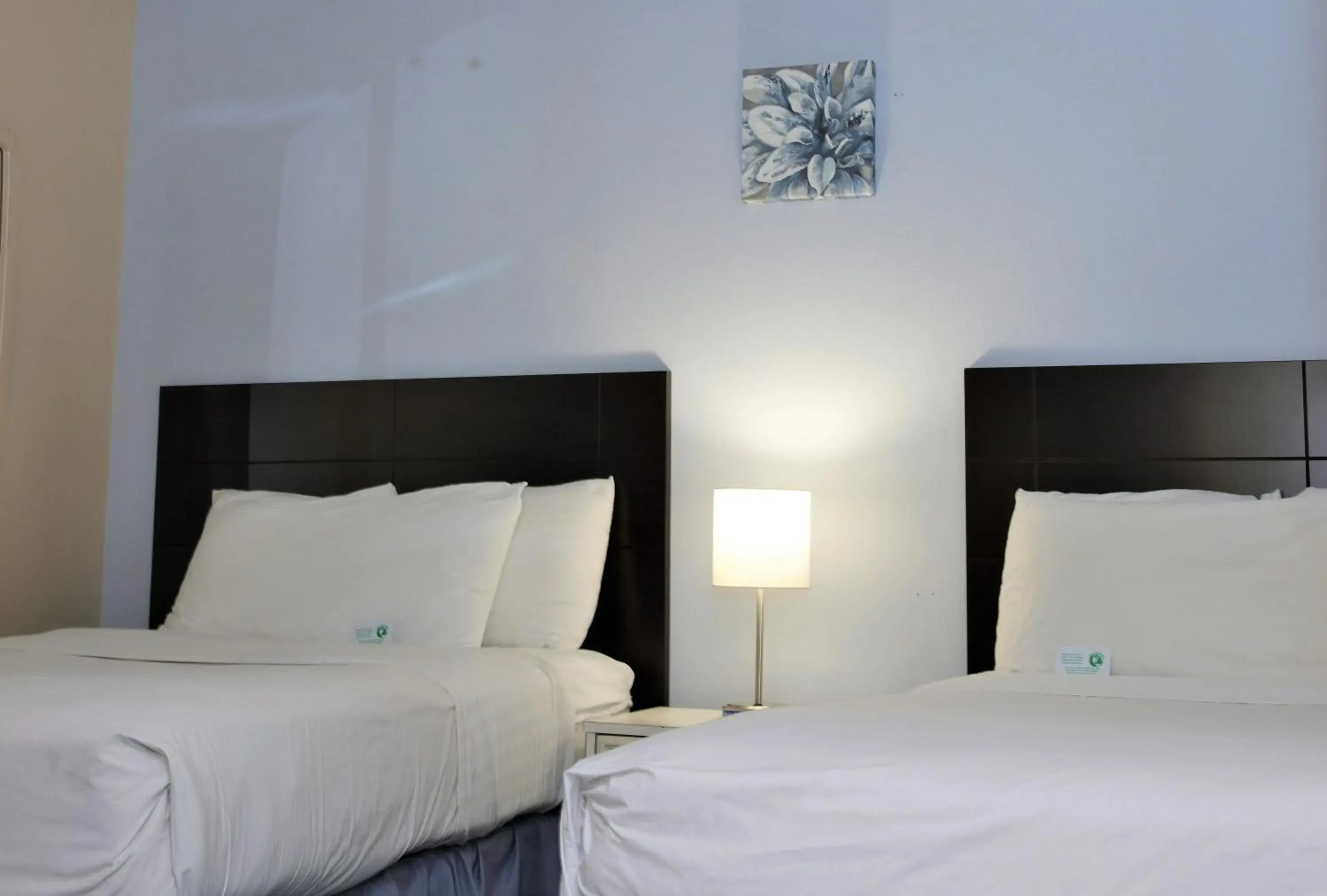 Double Room with Two Double Beds in Victoria Palms Inn and Suites Double Room with Two Double Beds in Victoria Palms Inn and Suites