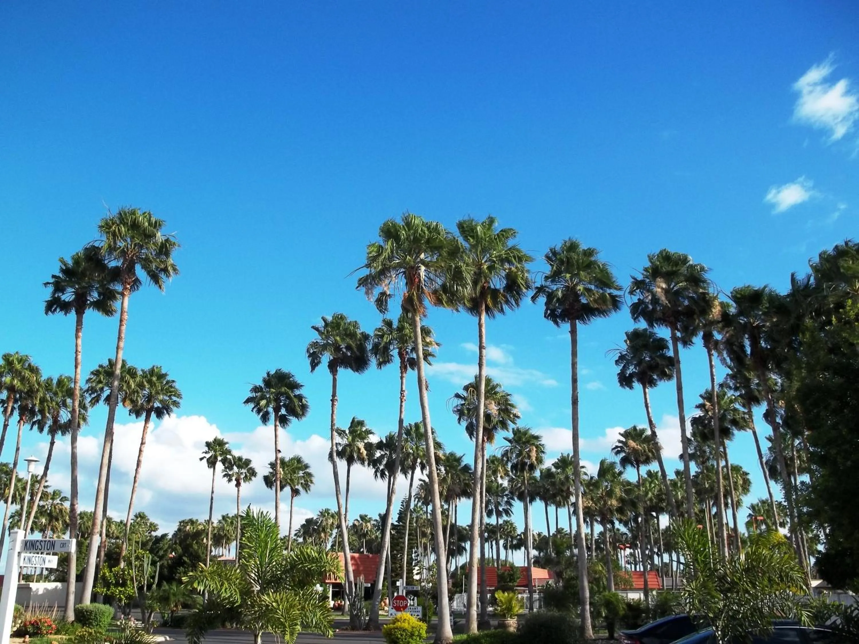 Neighbourhood in Victoria Palms Inn and Suites