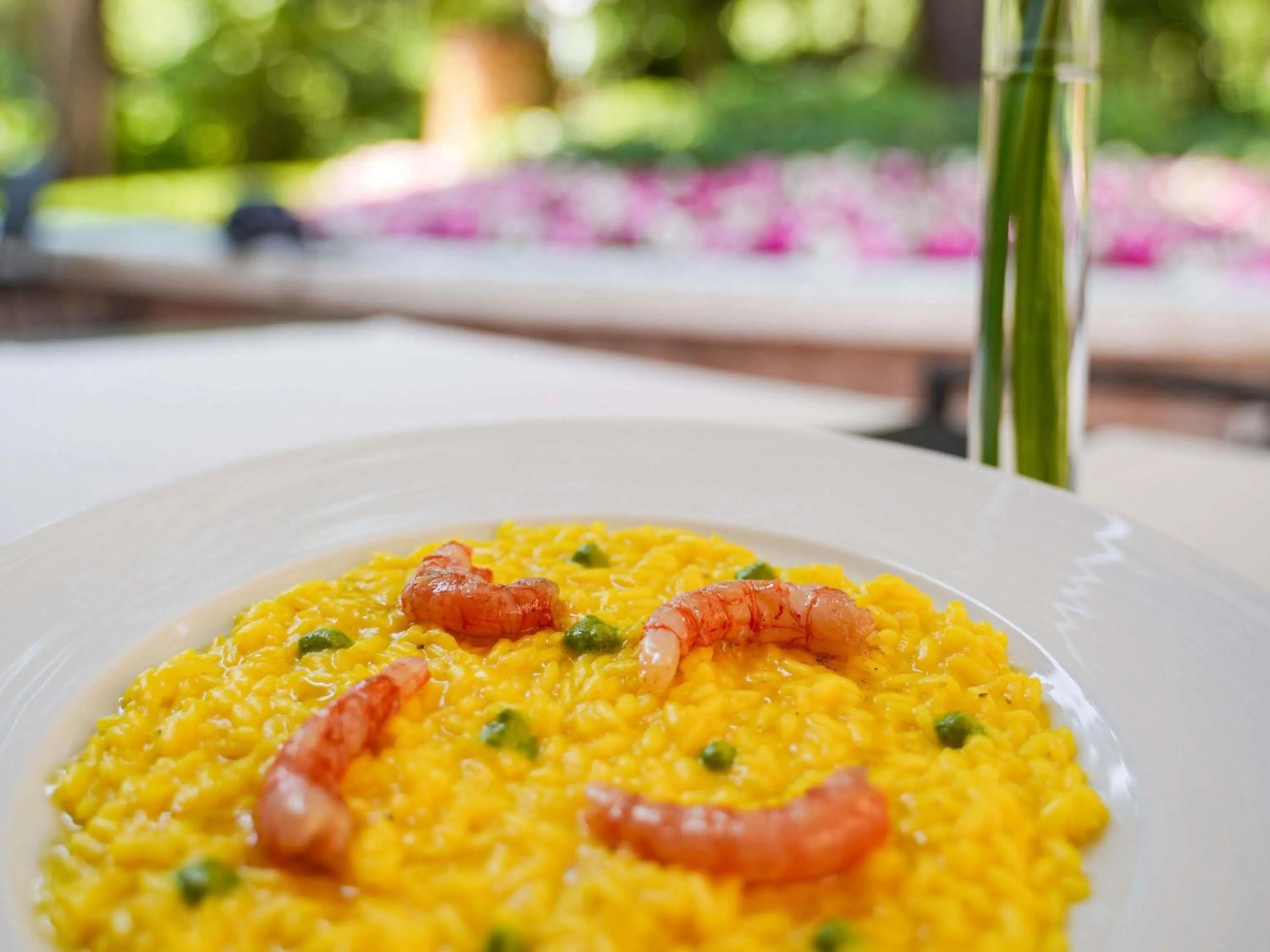 Restaurant/places to eat in Papadopoli Hotel Venezia - MGallery Collection