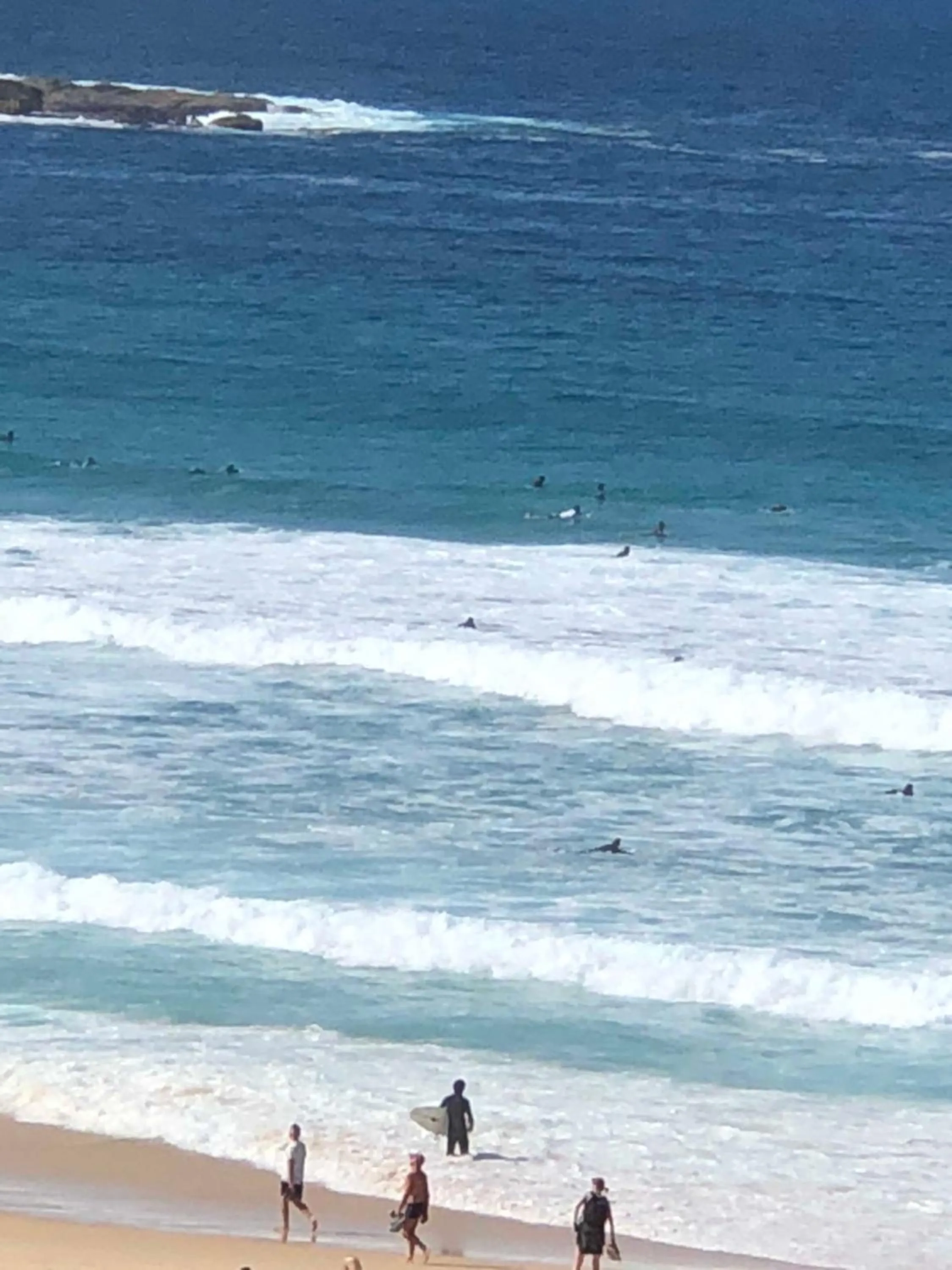 Bondi 38 Serviced Apartments