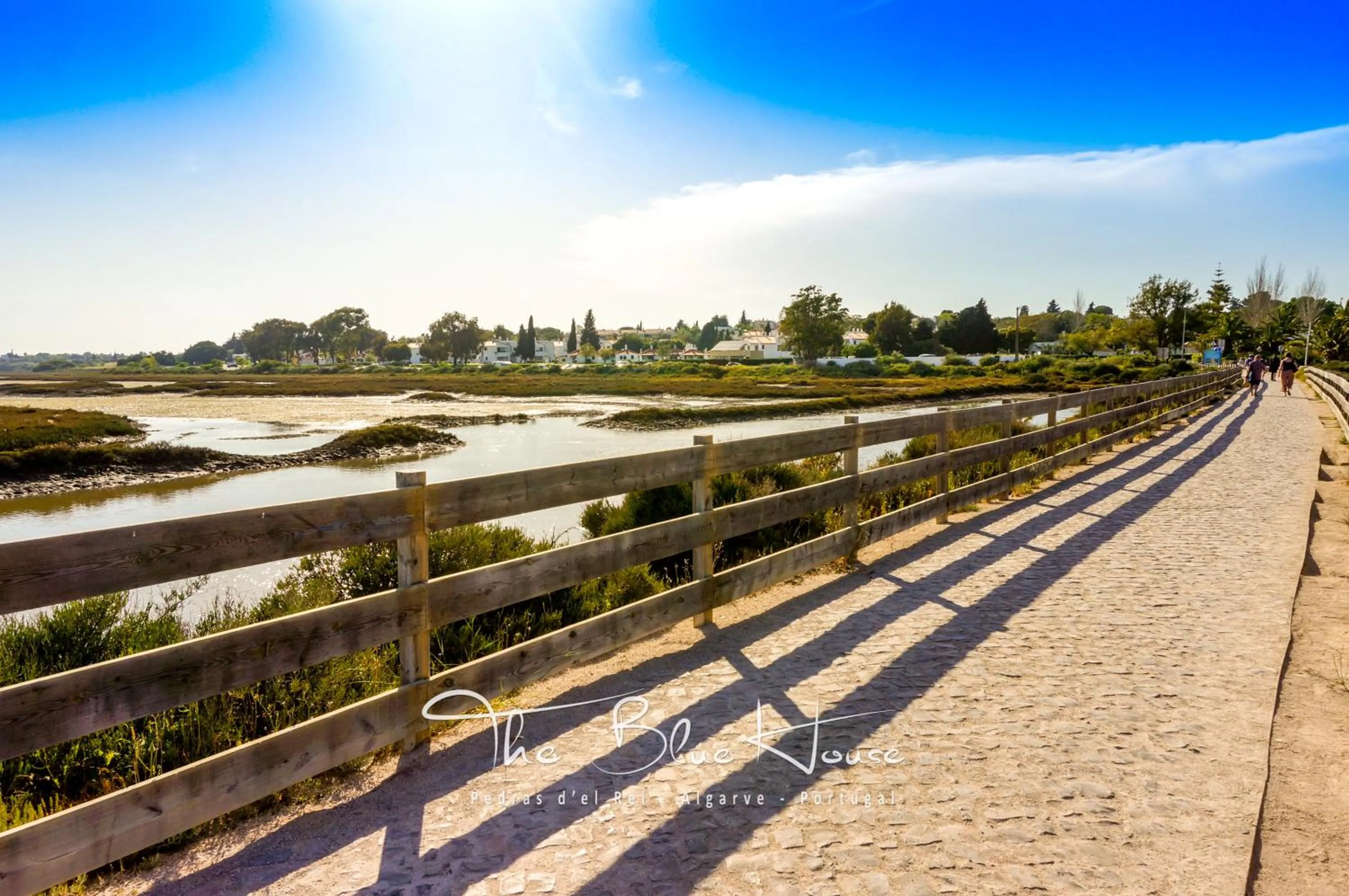 Natural landscape in The Blue House, Pedras D'el Rei, Tavira