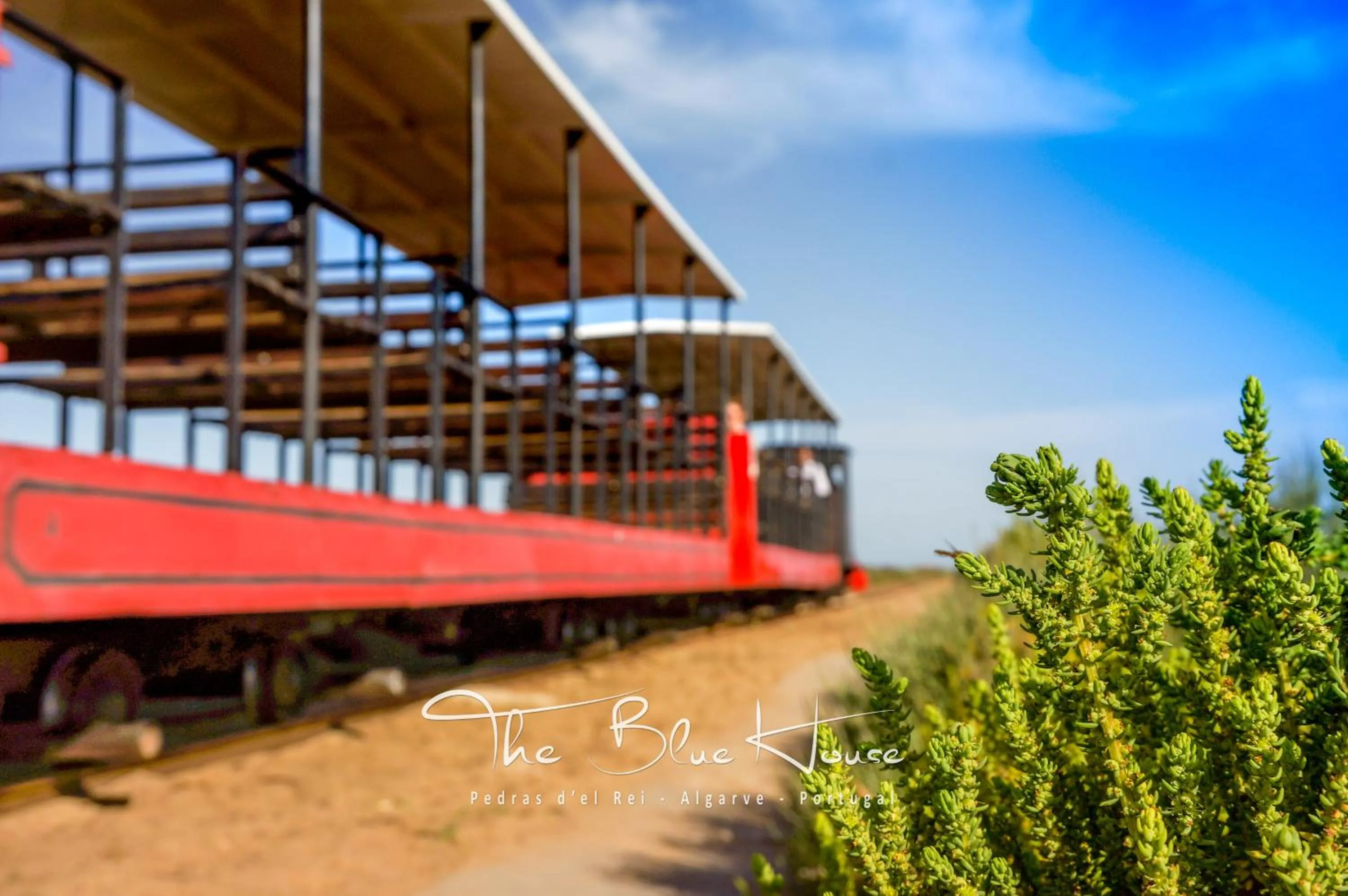 Beach in The Blue House, Pedras D'el Rei, Tavira