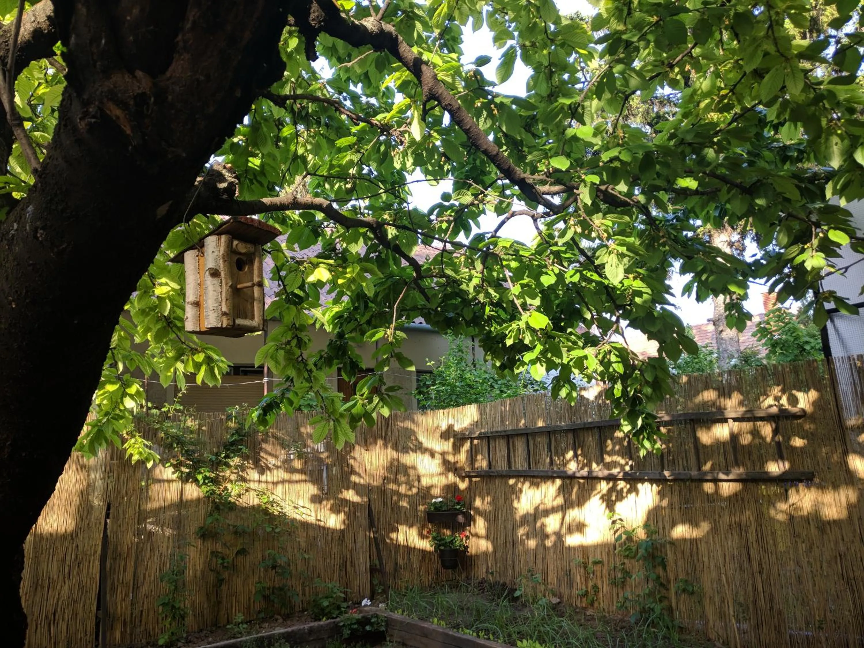 Cseresznyés apartman