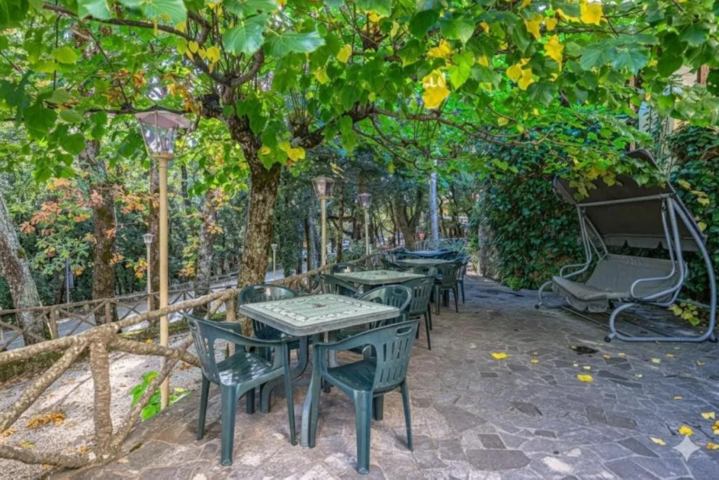 Garden view in Hotel Paradiso