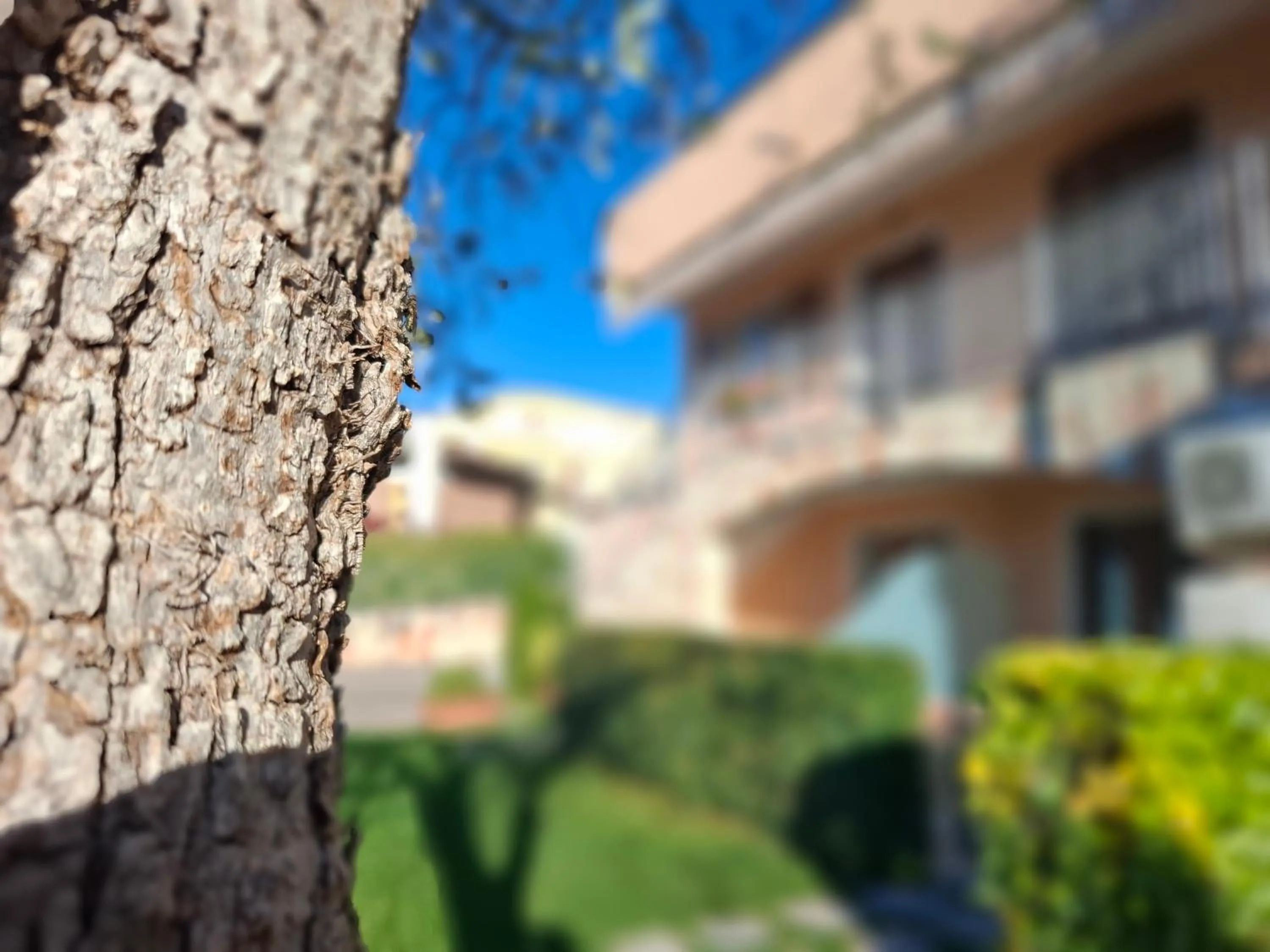 Residence Villa Margherita