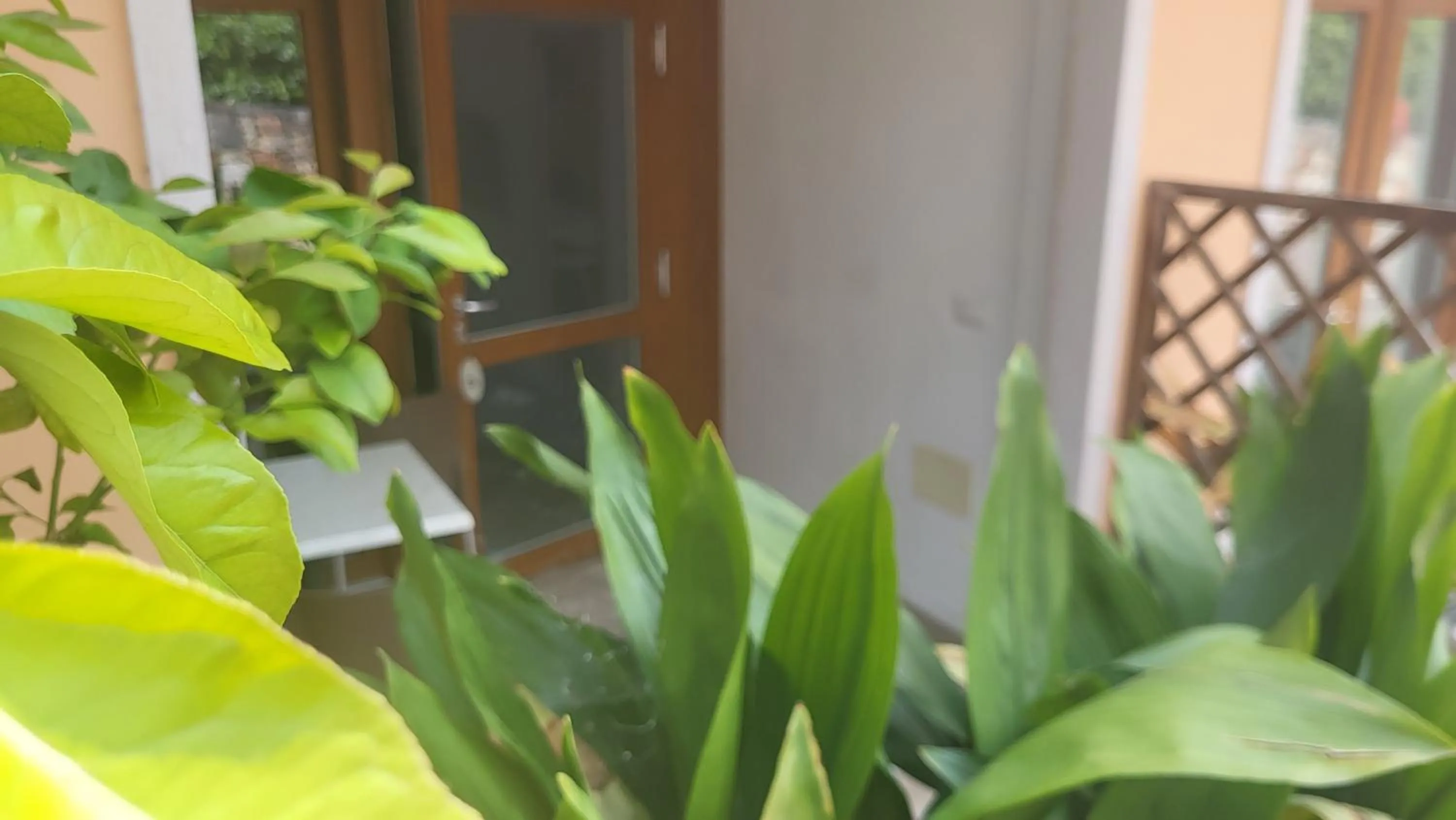 Residence Villa Margherita